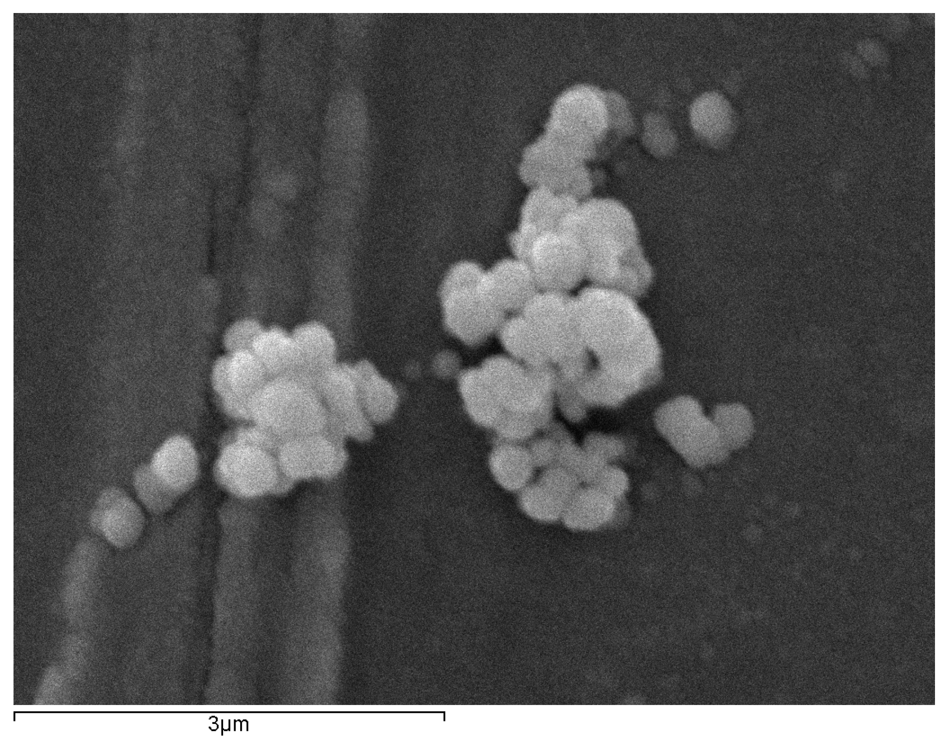 Biomolecules 14 01347 g004 Biomolecules 14 01347 g004