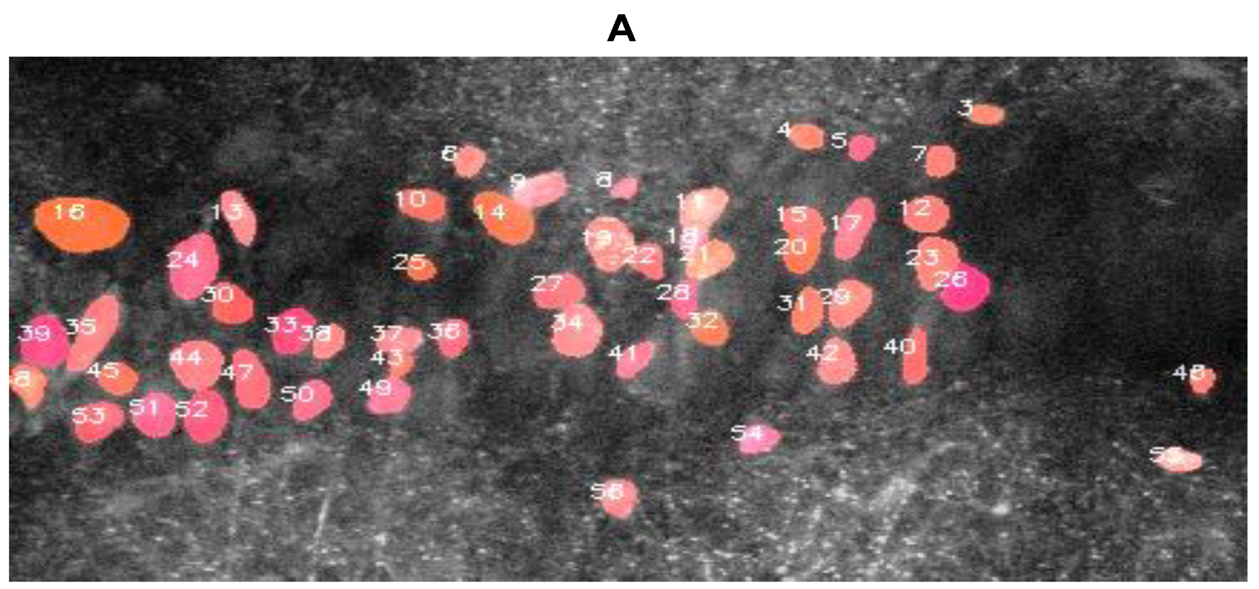 Biomolecules 14 01348 g008a