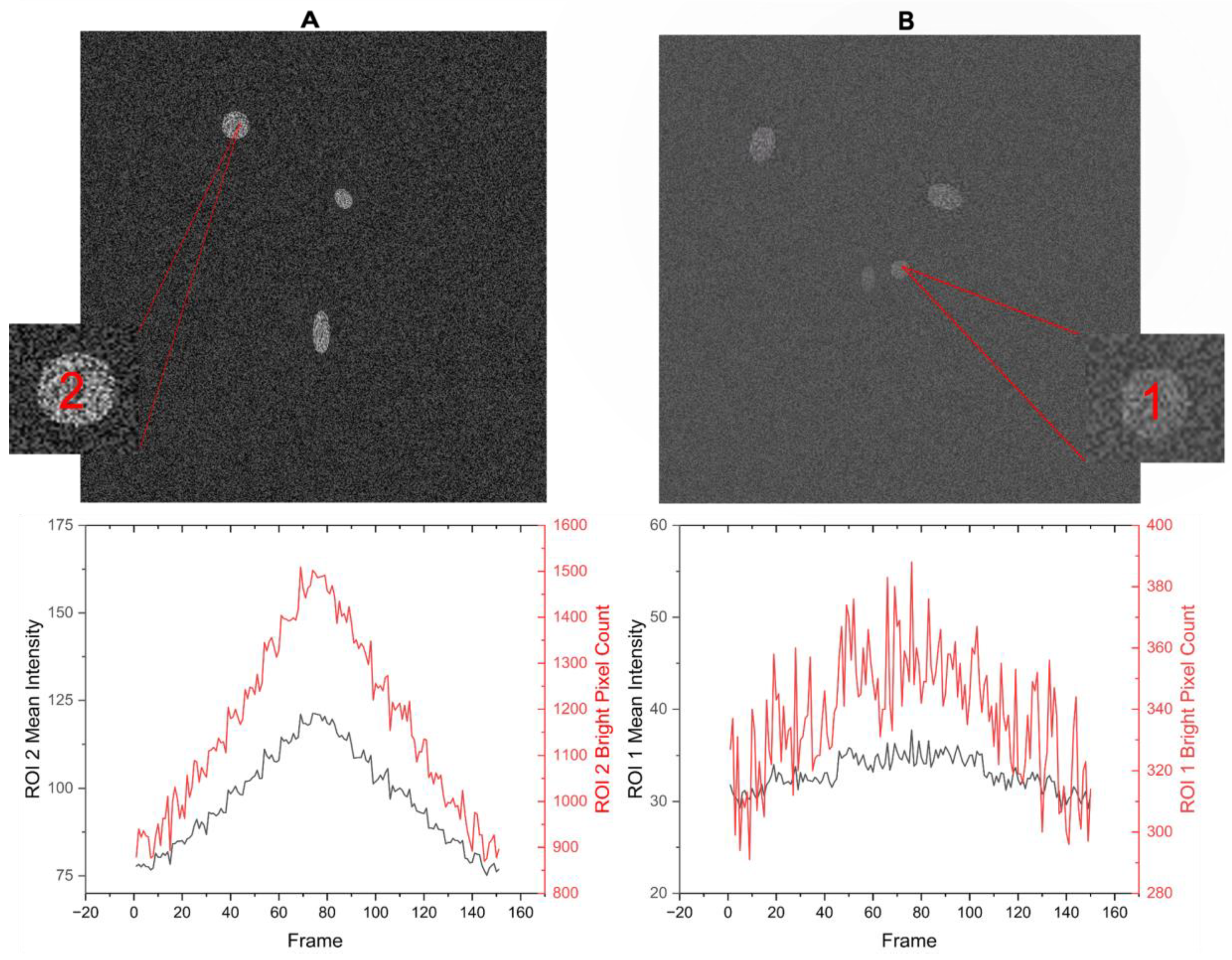 Biomolecules 14 01348 g009