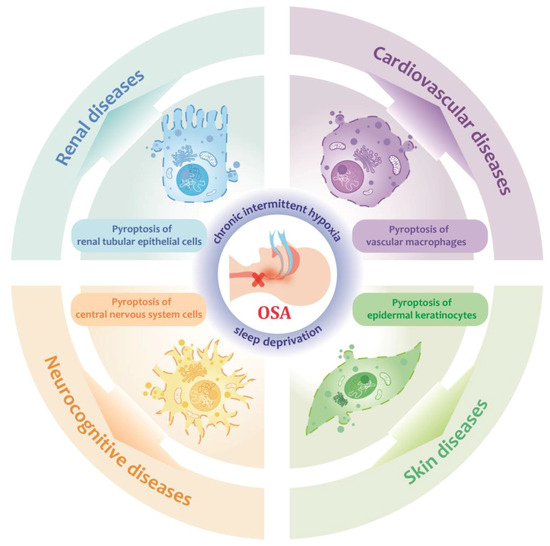 Pyroptosis: An Accomplice in the Induction of Multisystem