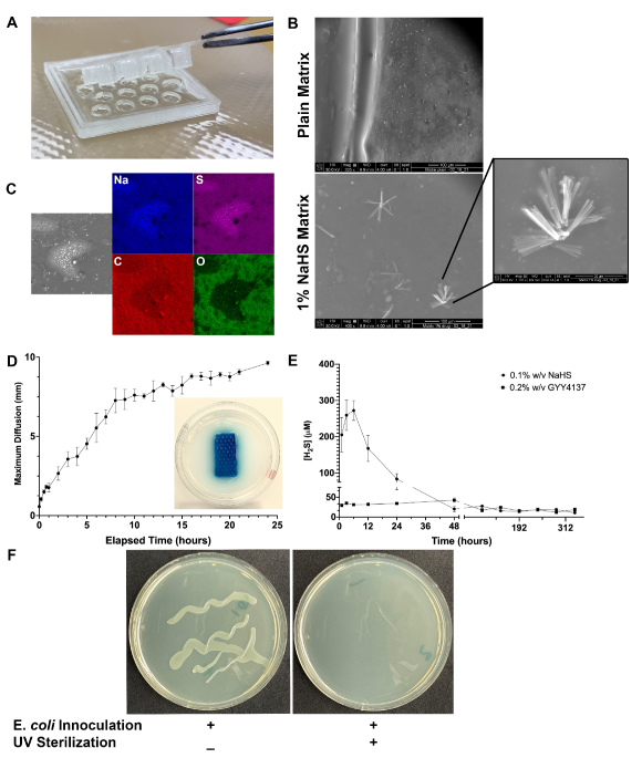 Biomolecules 14 01350 g001