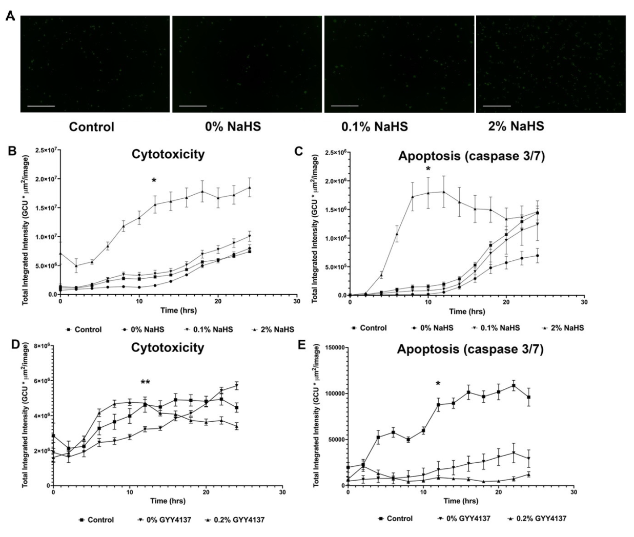 Biomolecules 14 01350 g002