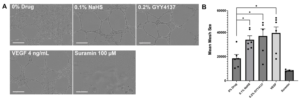 Biomolecules 14 01350 g003