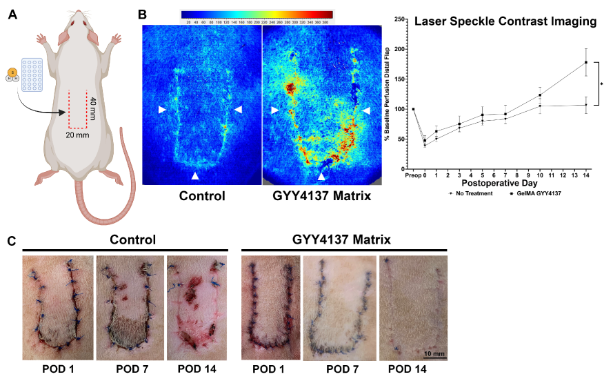 Biomolecules 14 01350 g004