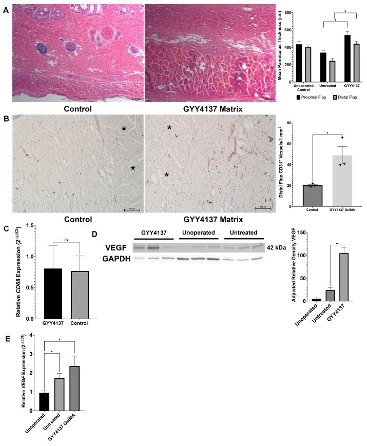 Biomolecules 14 01350 g005
