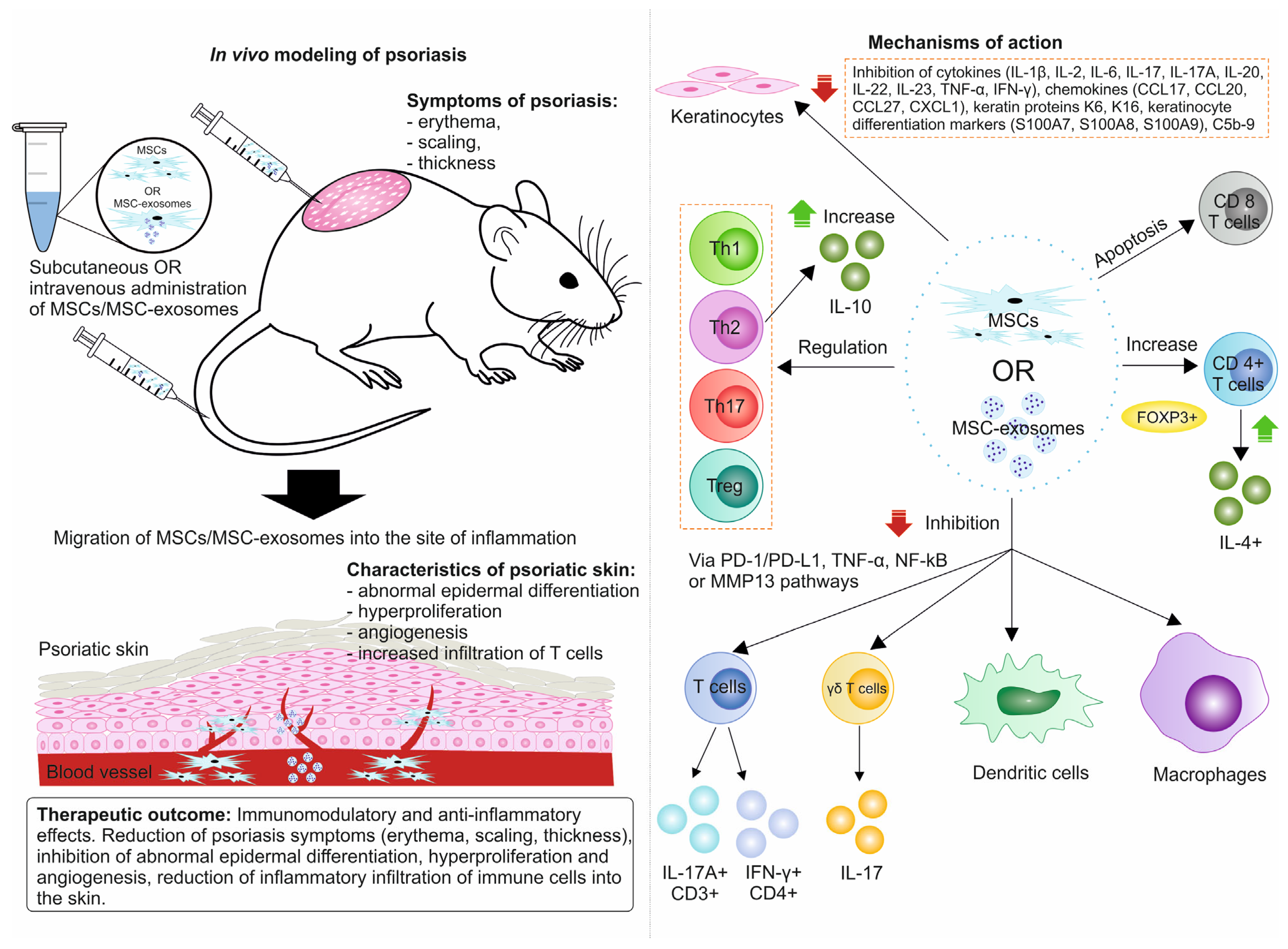 Biomolecules 14 01351 g002