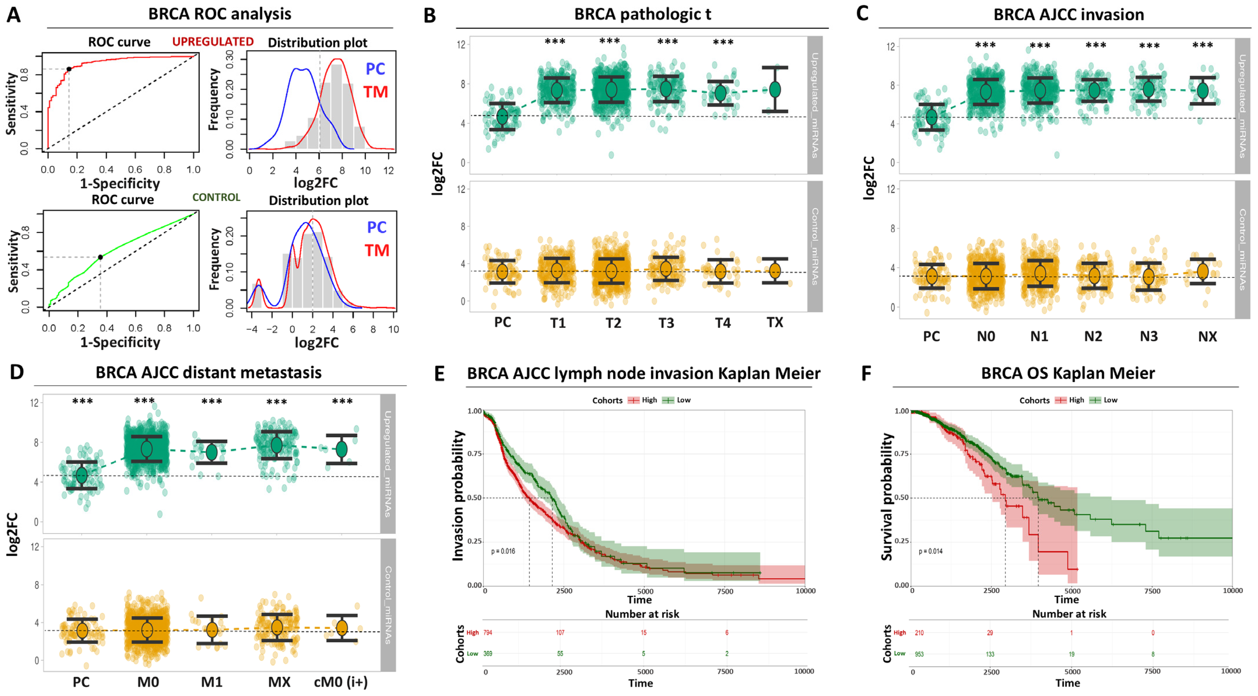 Biomolecules 14 01352 g002