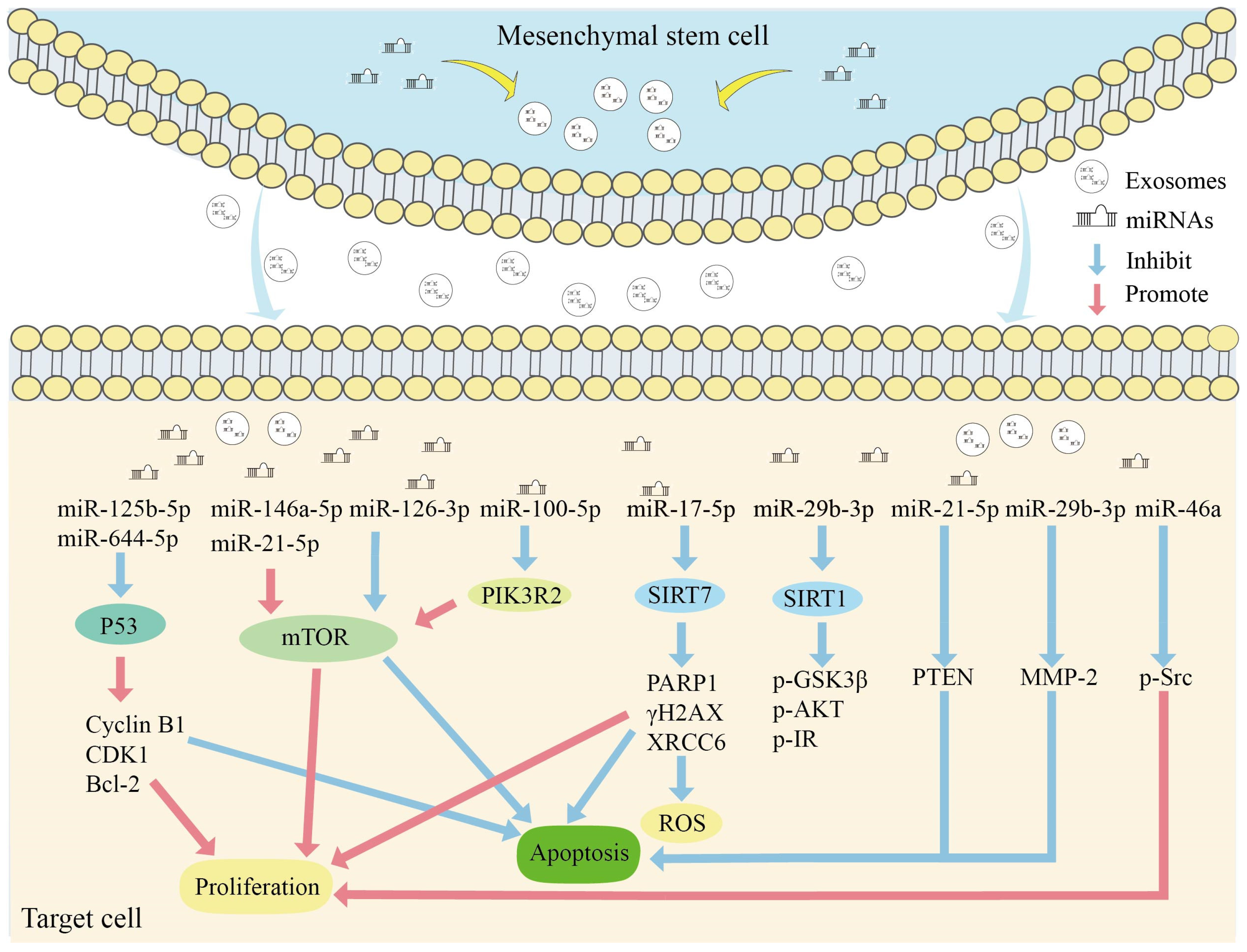Biomolecules 14 01354 g002