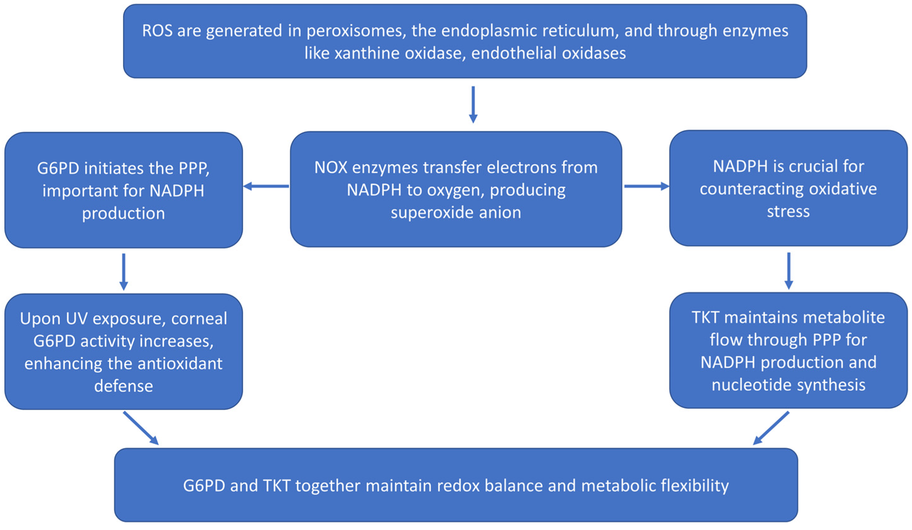 Biomolecules 14 01356 g001
