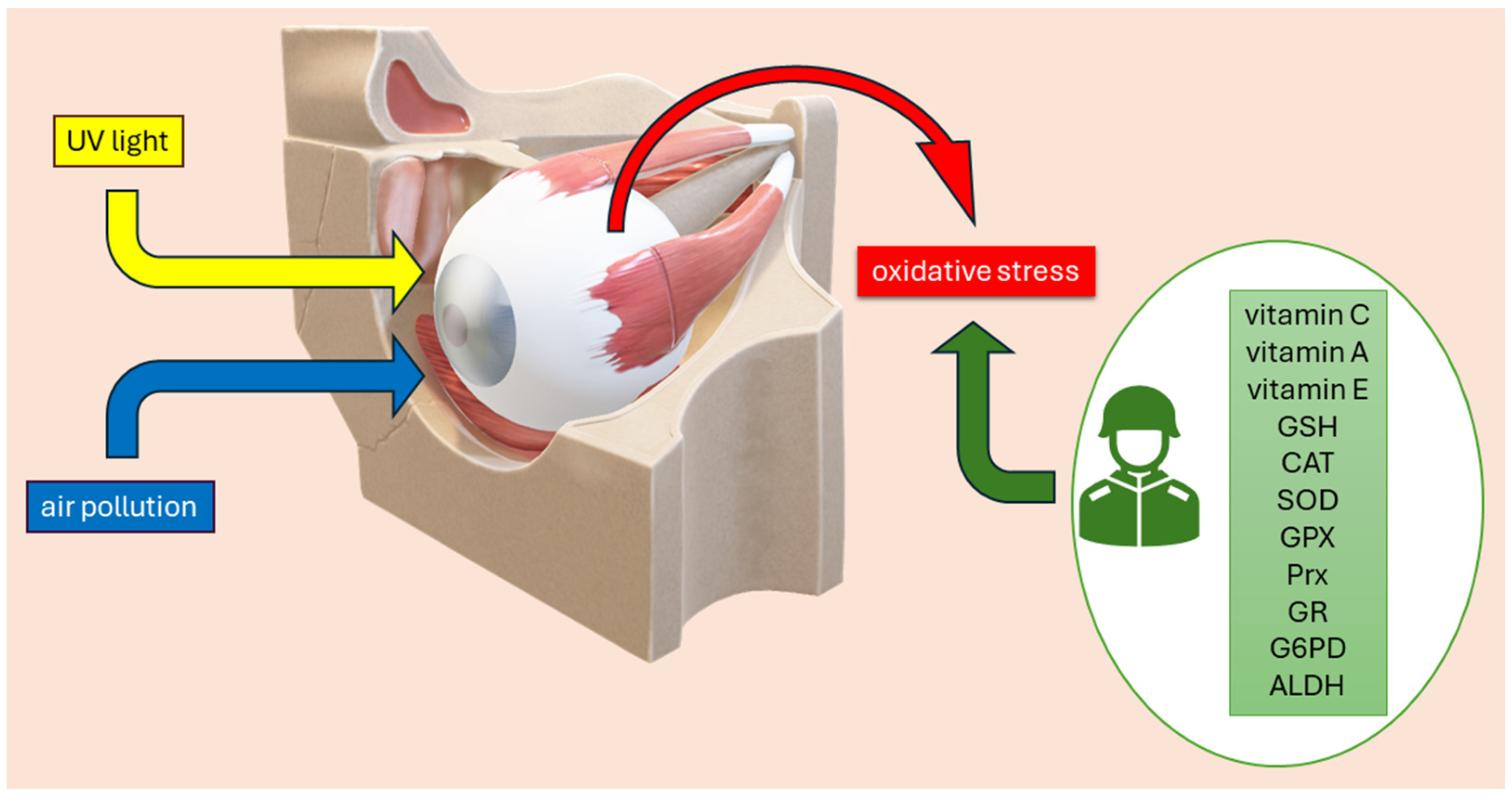 Biomolecules 14 01356 g002