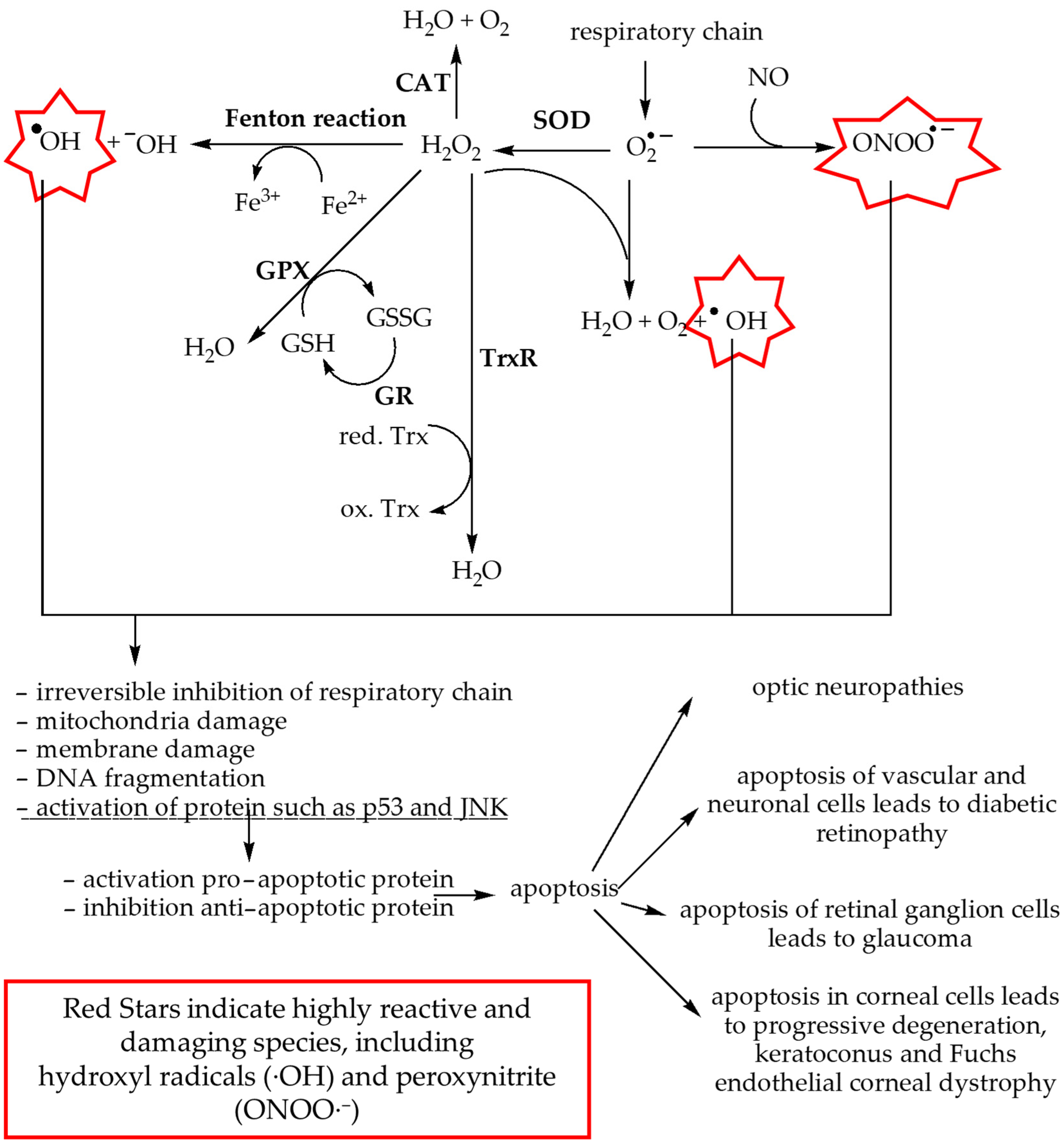 Biomolecules 14 01356 g003