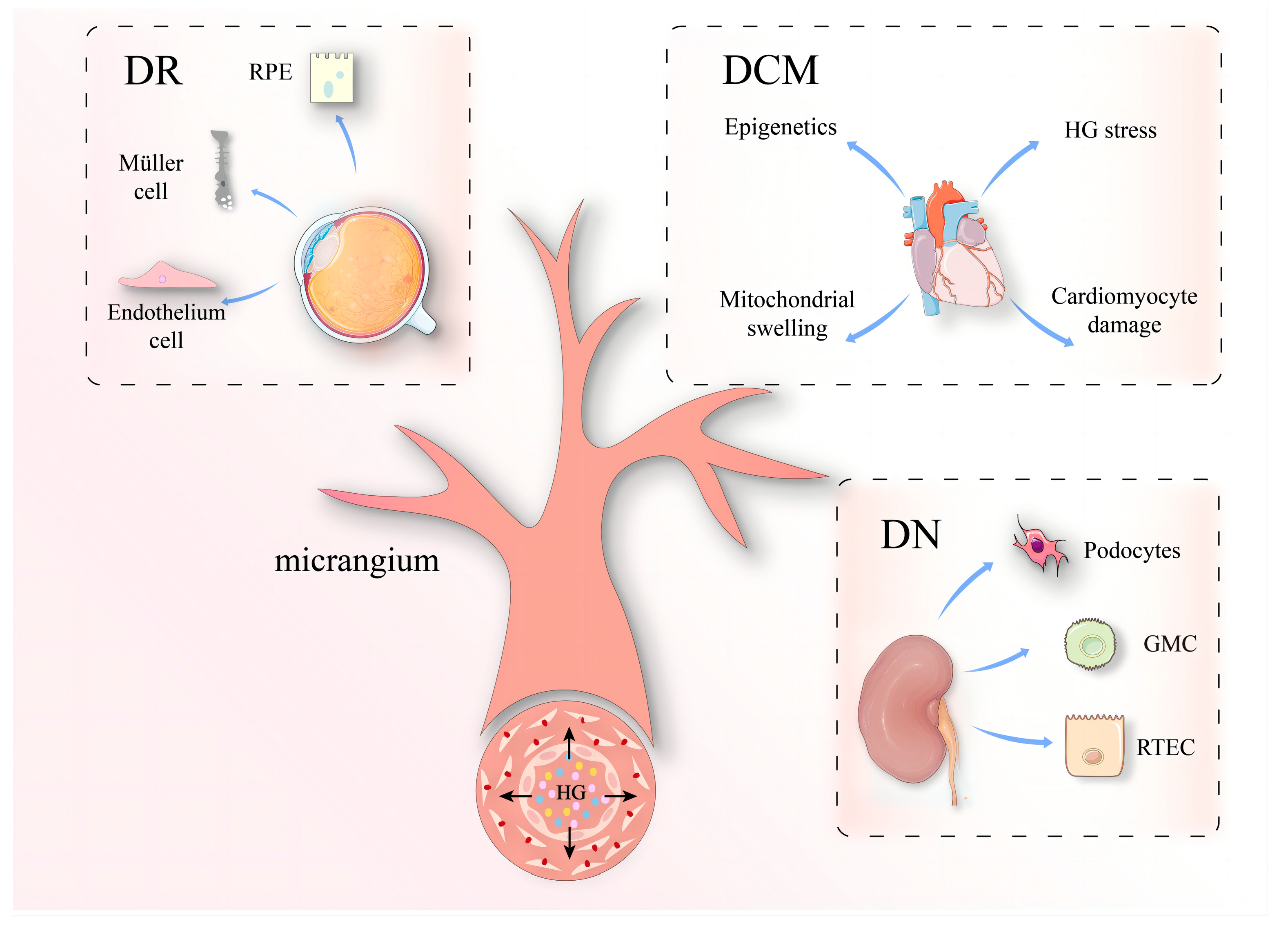 Biomolecules 14 01361 g003