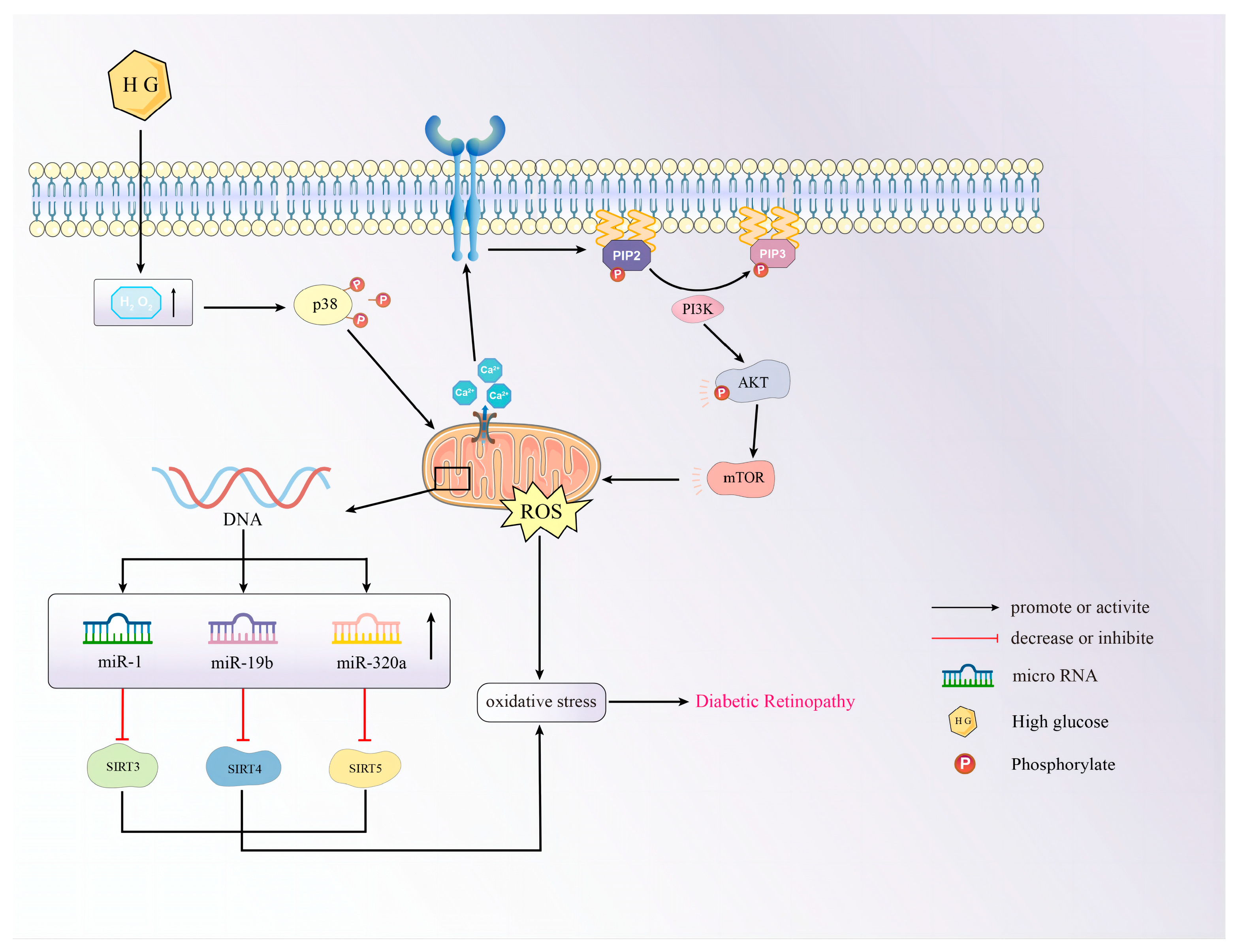 Biomolecules 14 01361 g004