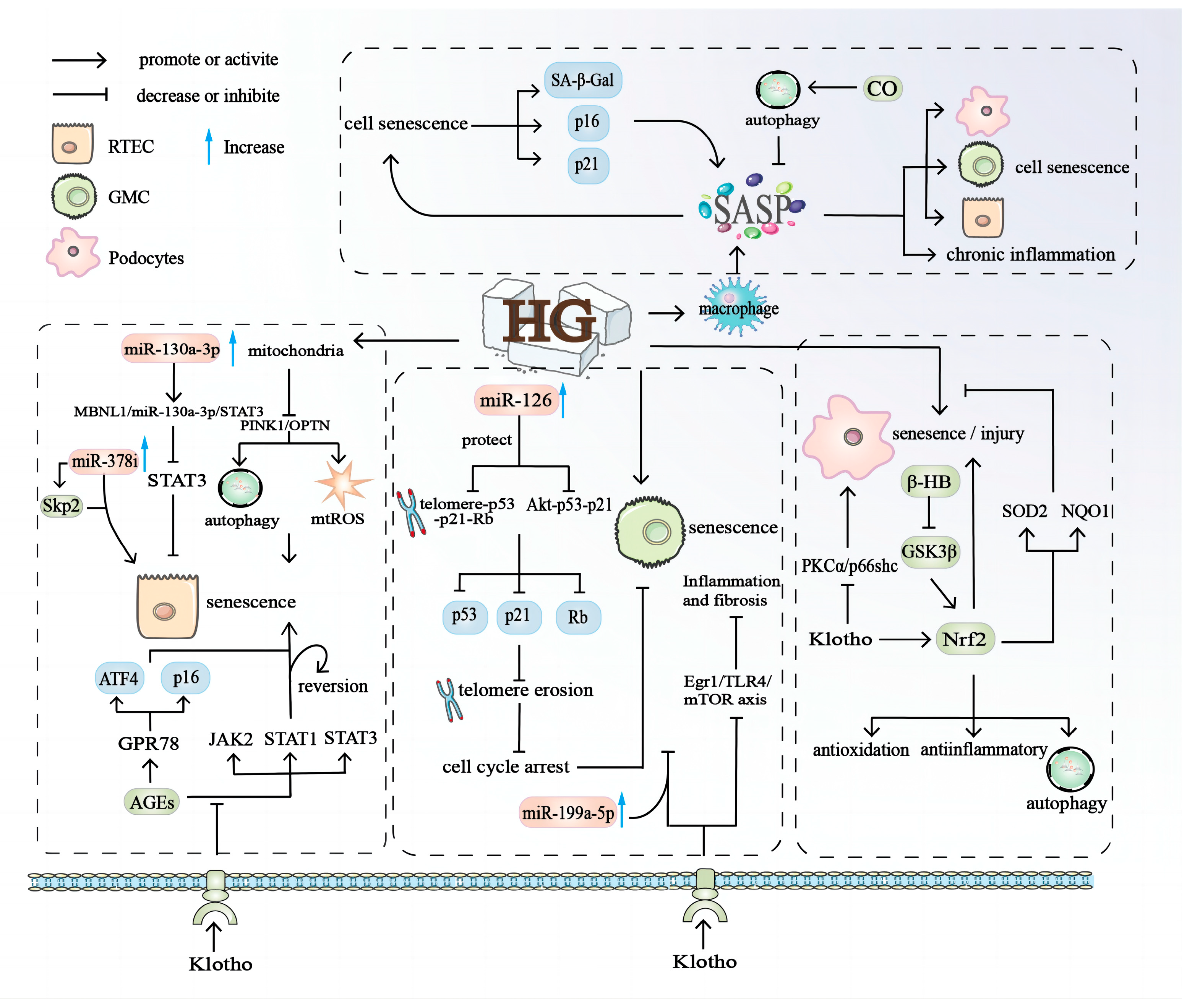 Biomolecules 14 01361 g005