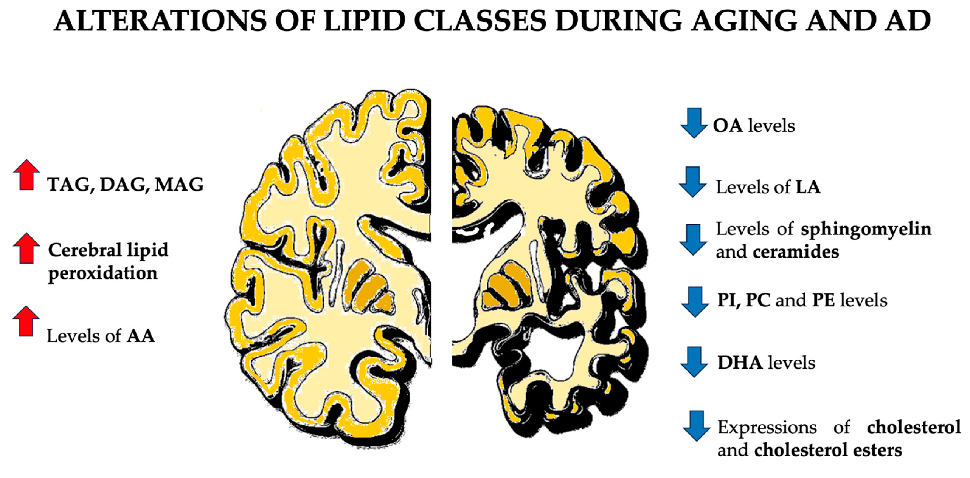 Biomolecules 14 01362 g002