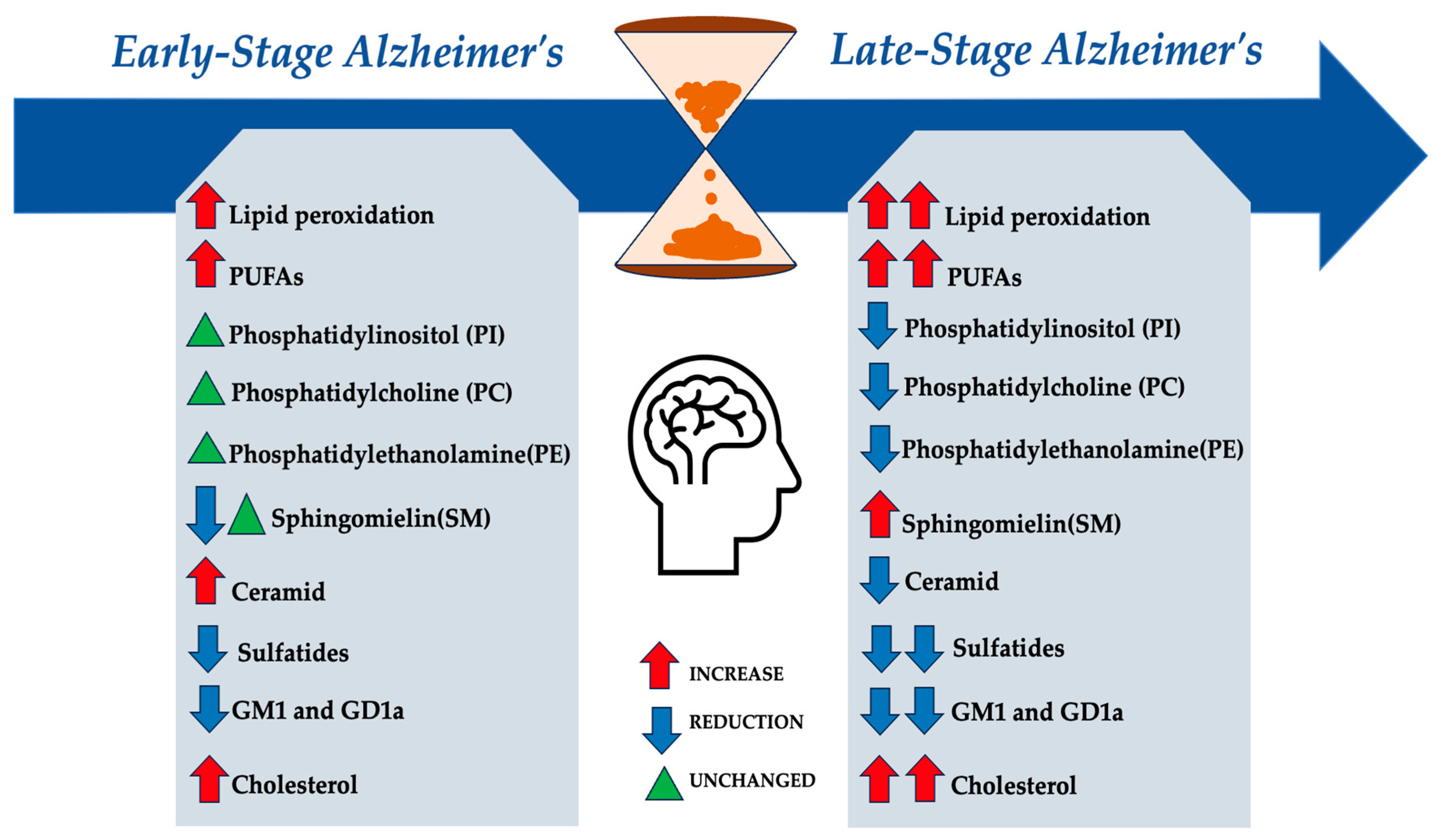 Biomolecules 14 01362 g003