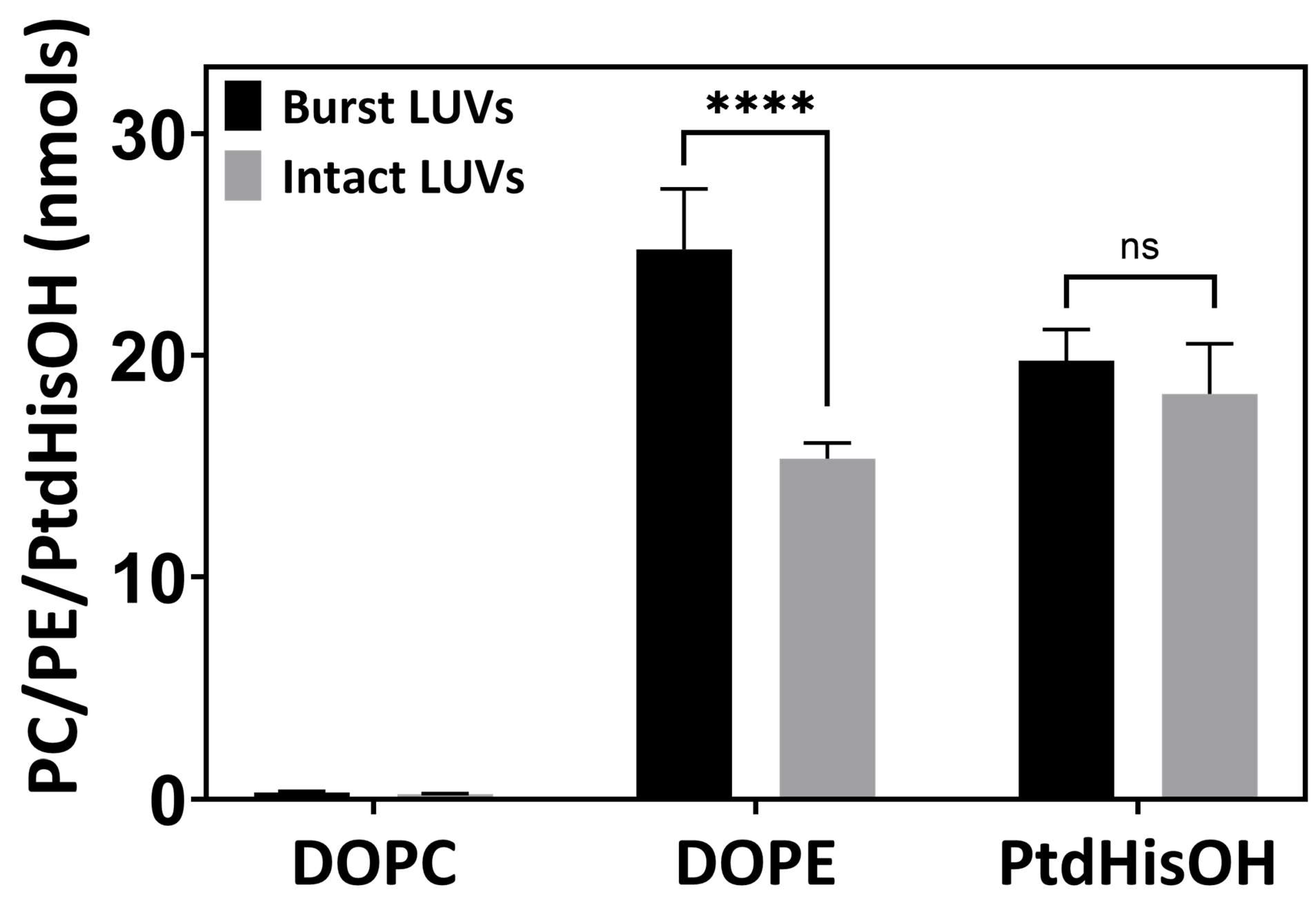 Biomolecules 14 01363 g006