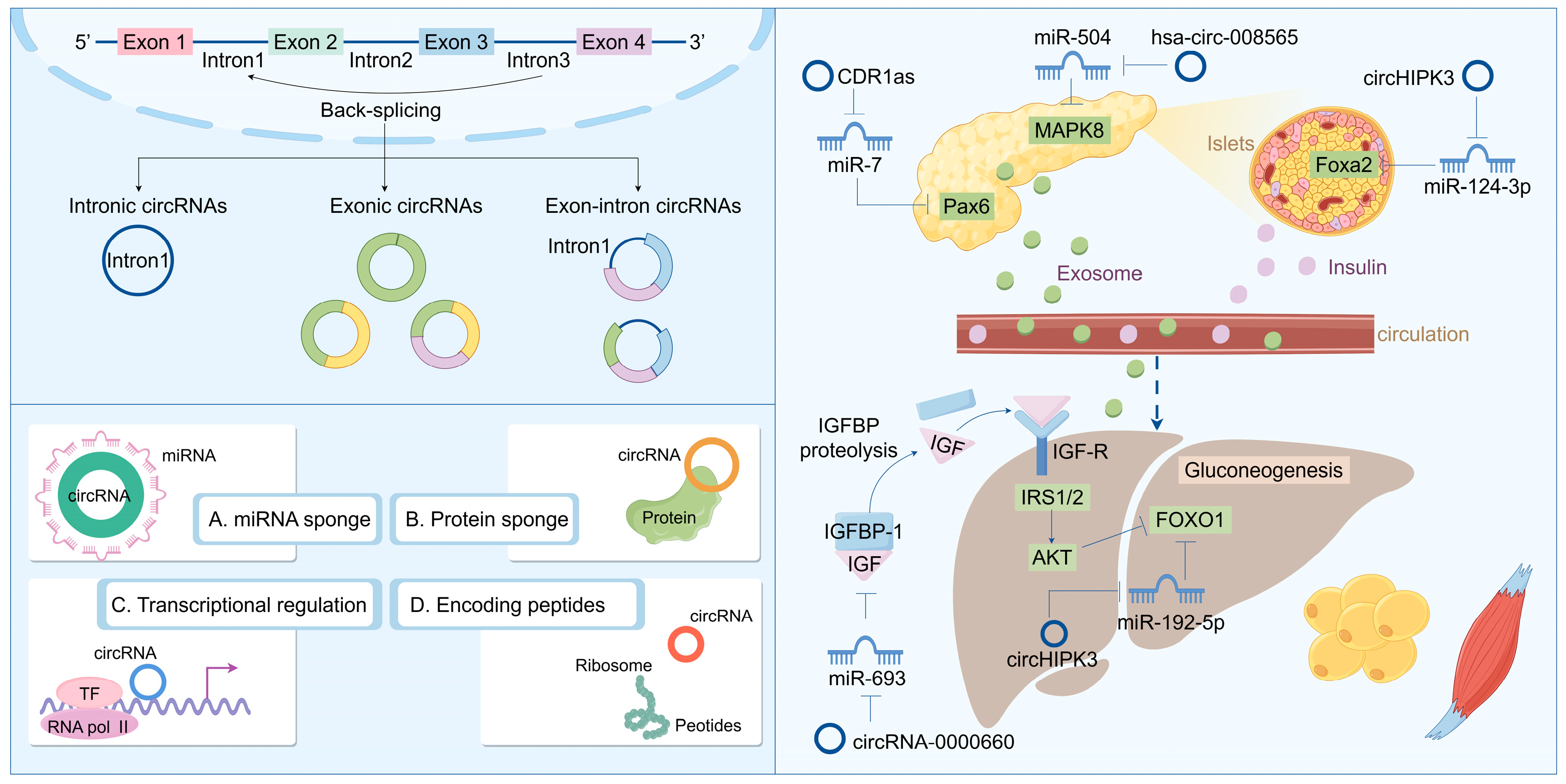 Biomolecules 14 01364 g003 Biomolecules 14 01364 g003