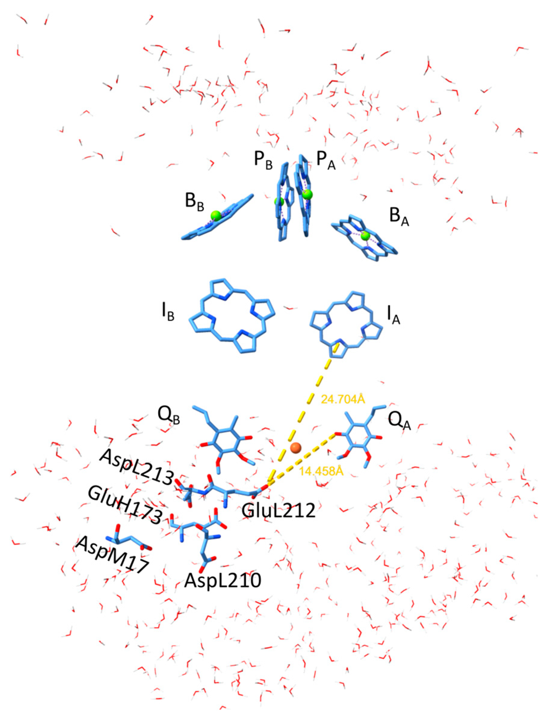 Biomolecules 14 01367 g001