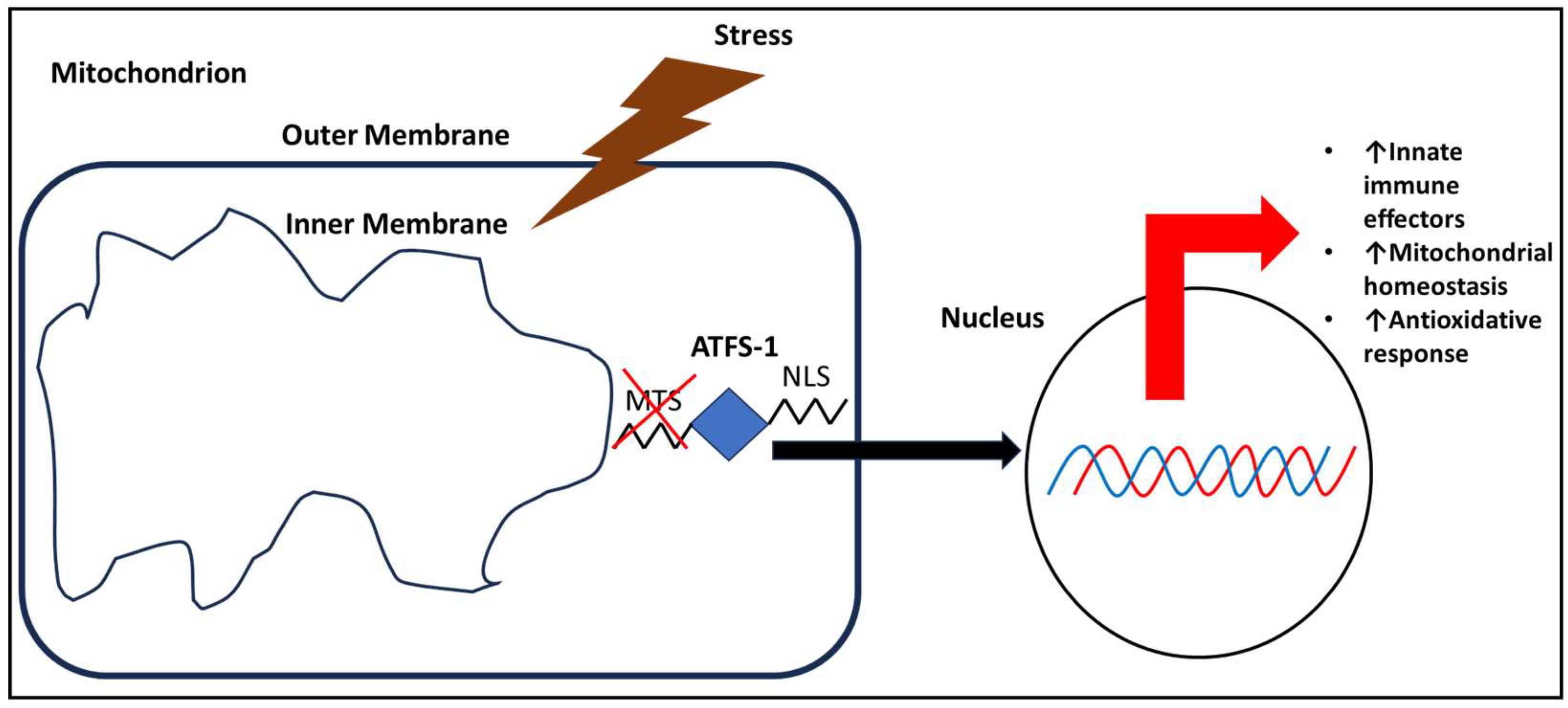 Biomolecules 14 01370 g002