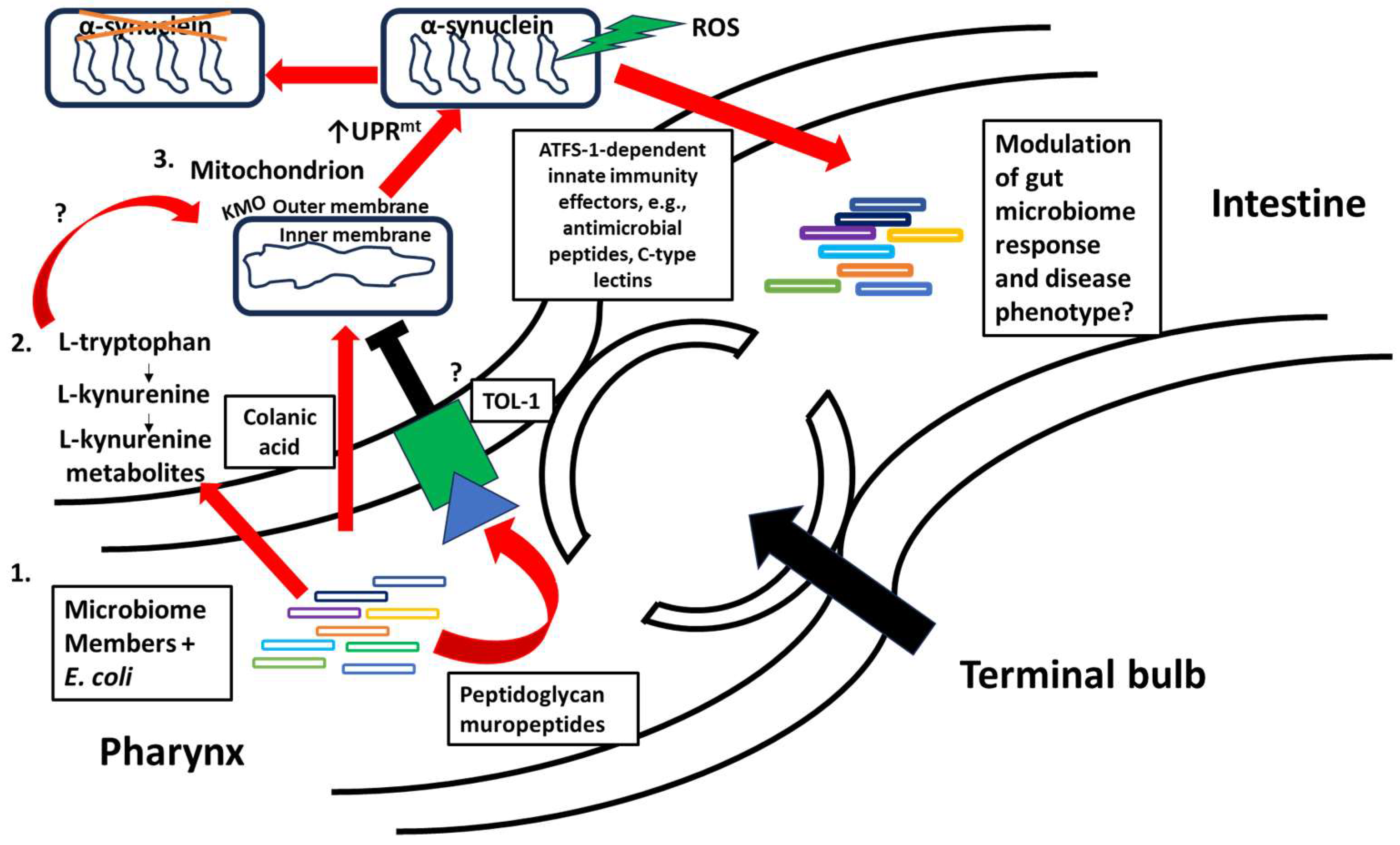 Biomolecules 14 01370 g003