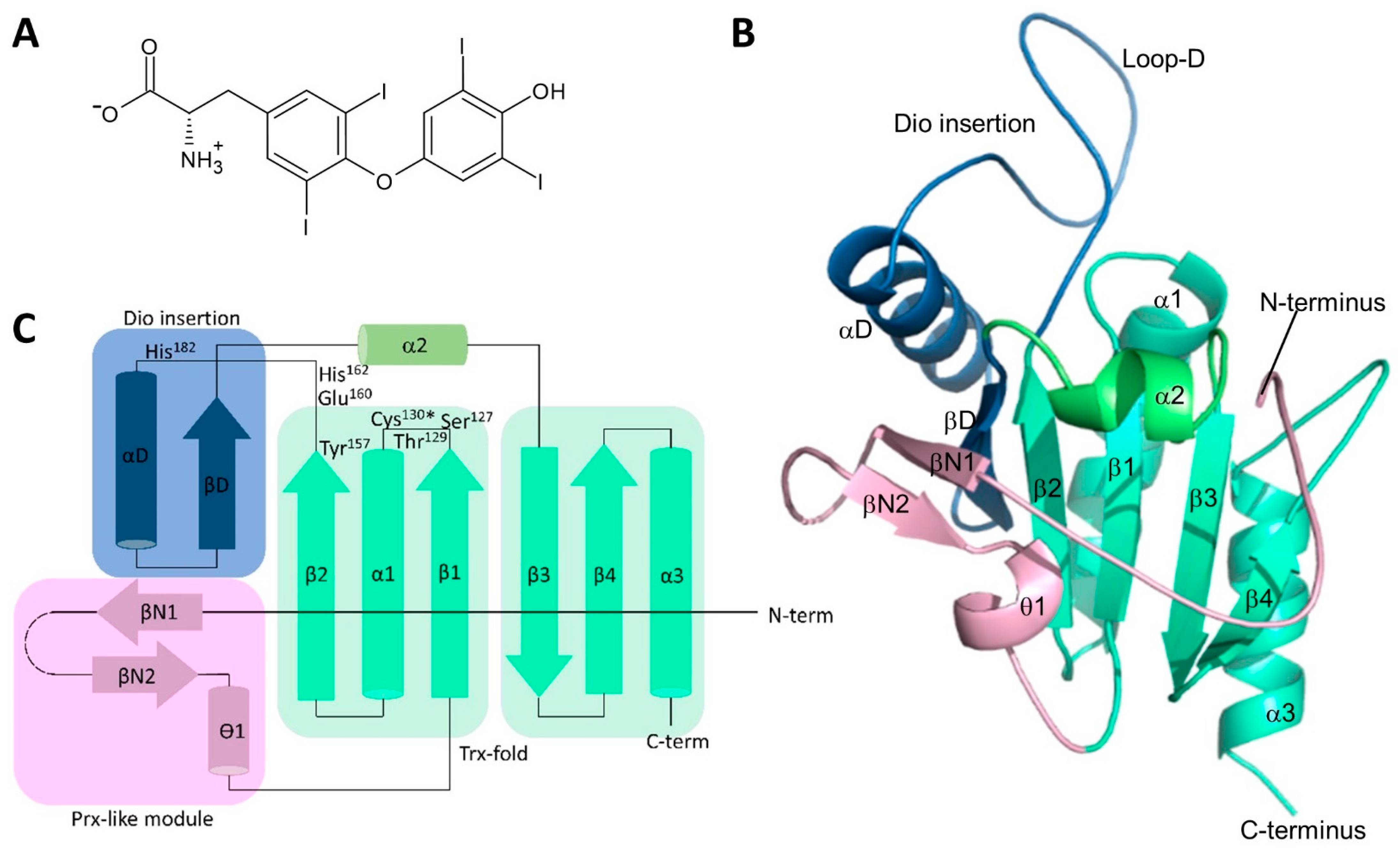 Biomolecules 14 01373 g001