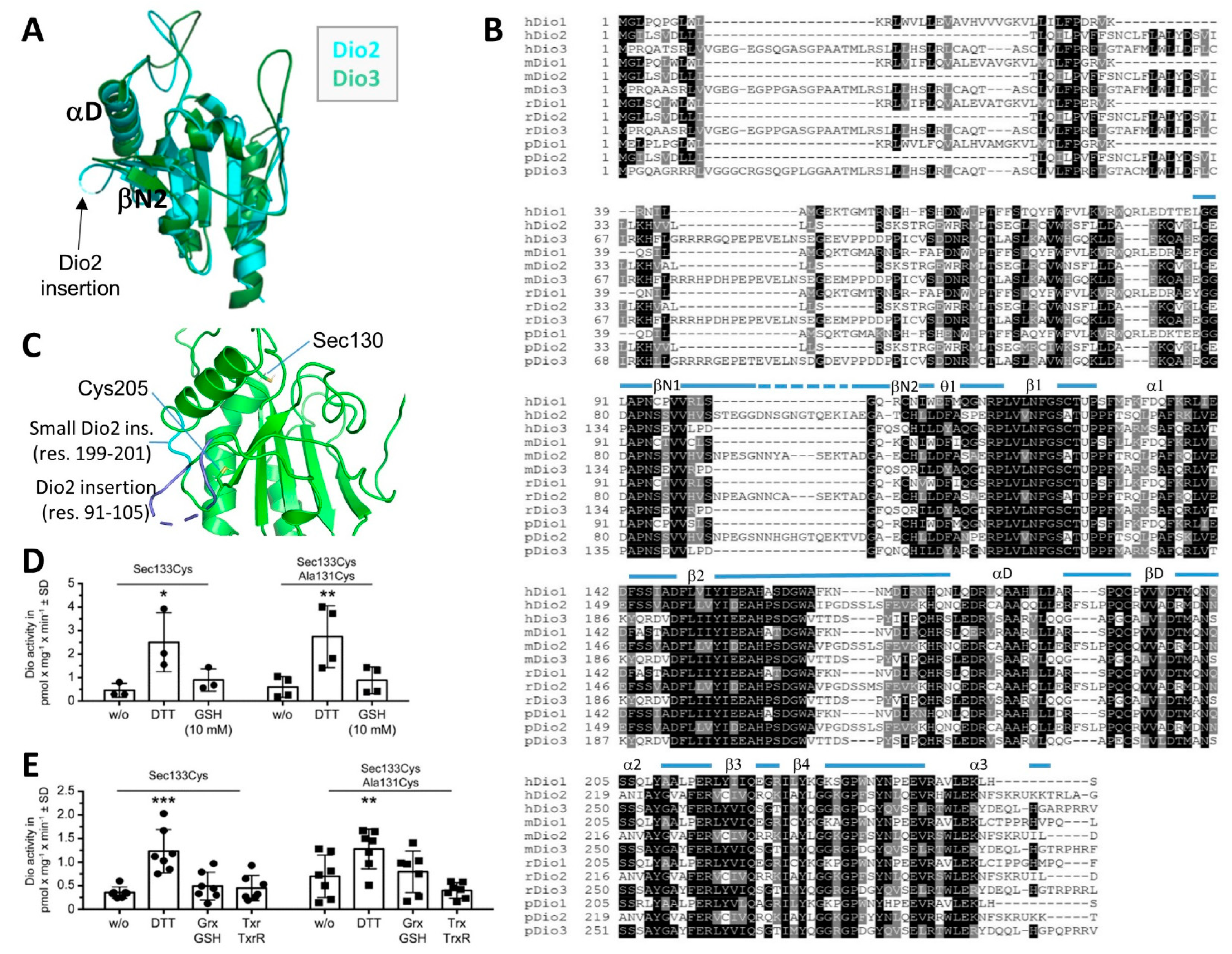 Biomolecules 14 01373 g002