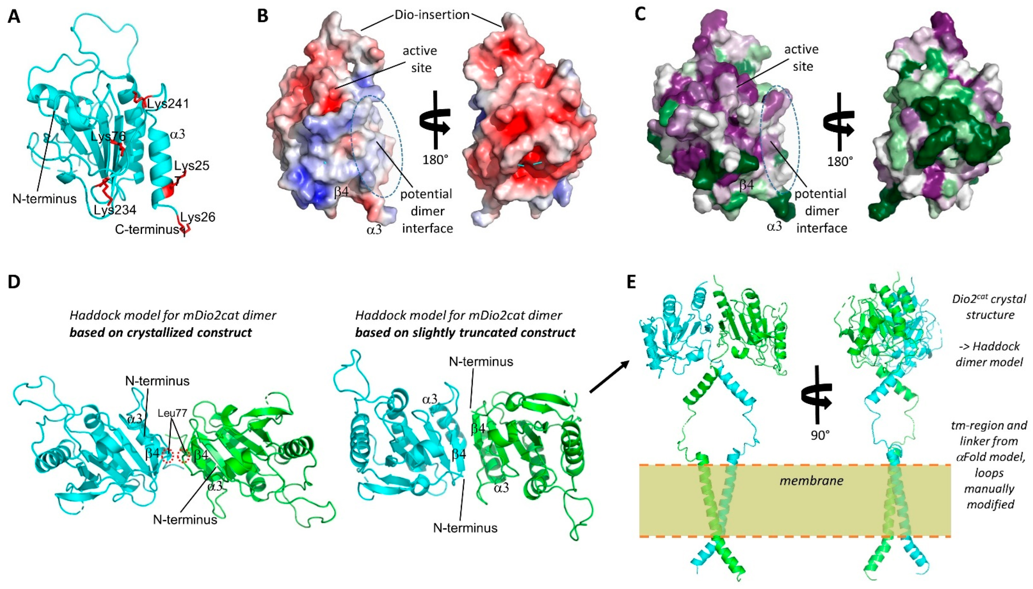 Biomolecules 14 01373 g005