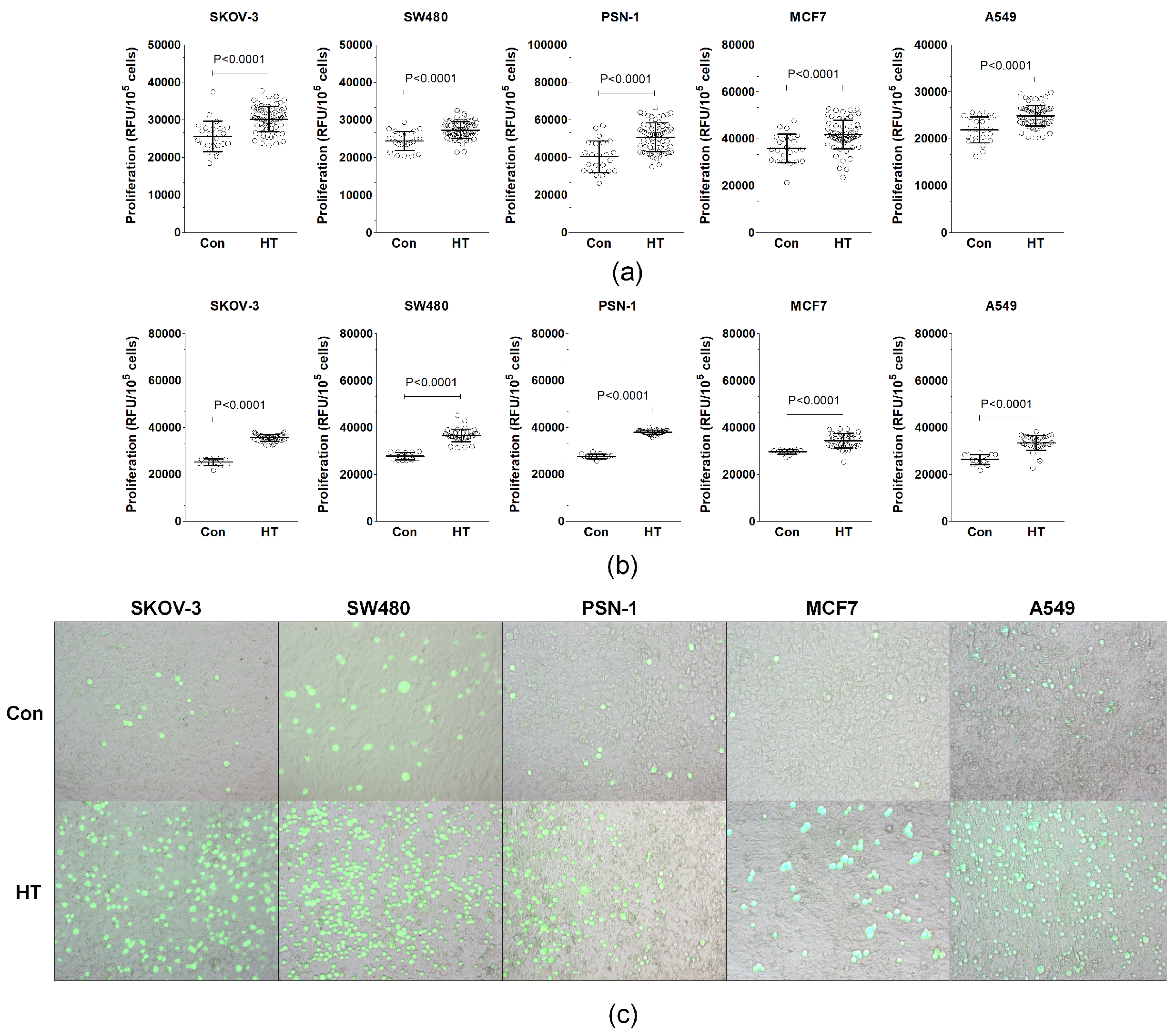 Biomolecules 14 01374 g001