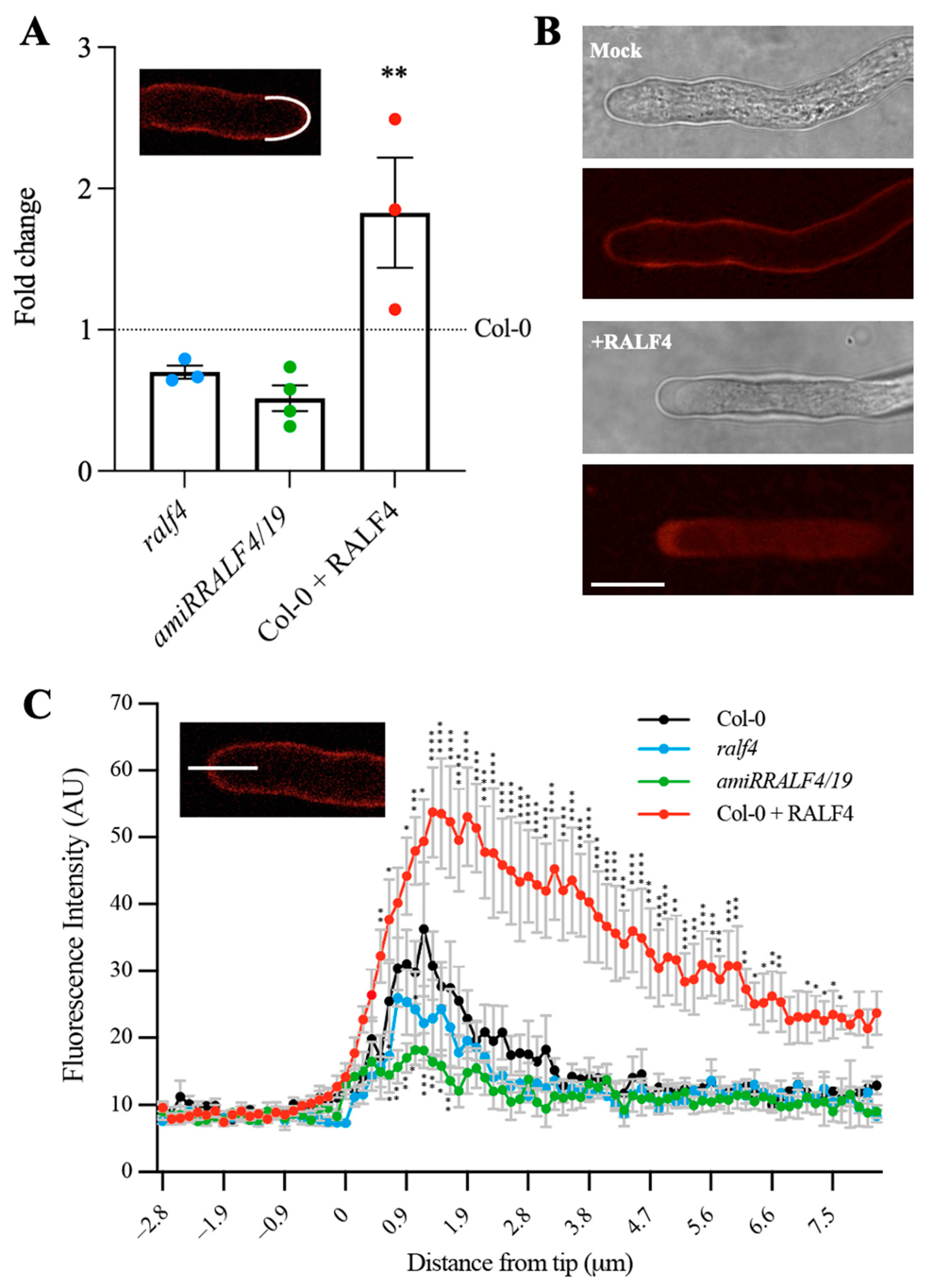 Biomolecules 14 01375 g002
