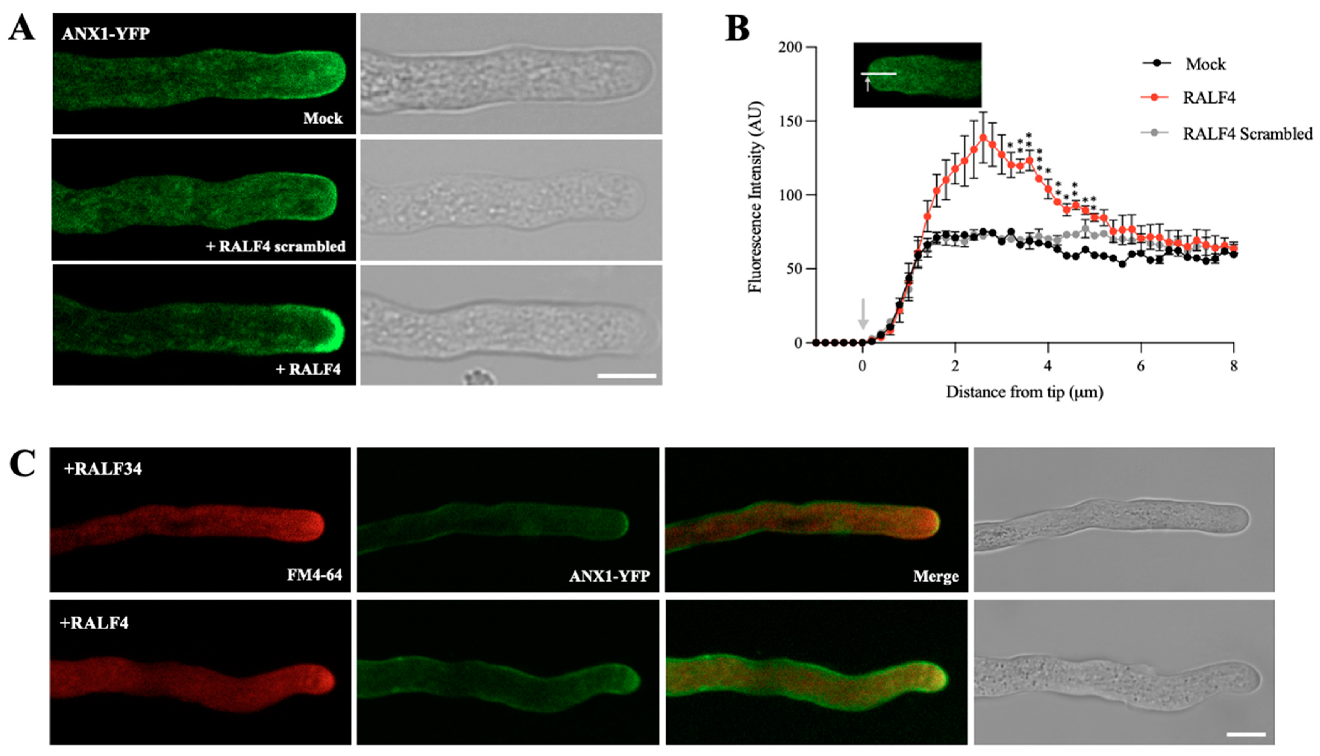 Biomolecules 14 01375 g003