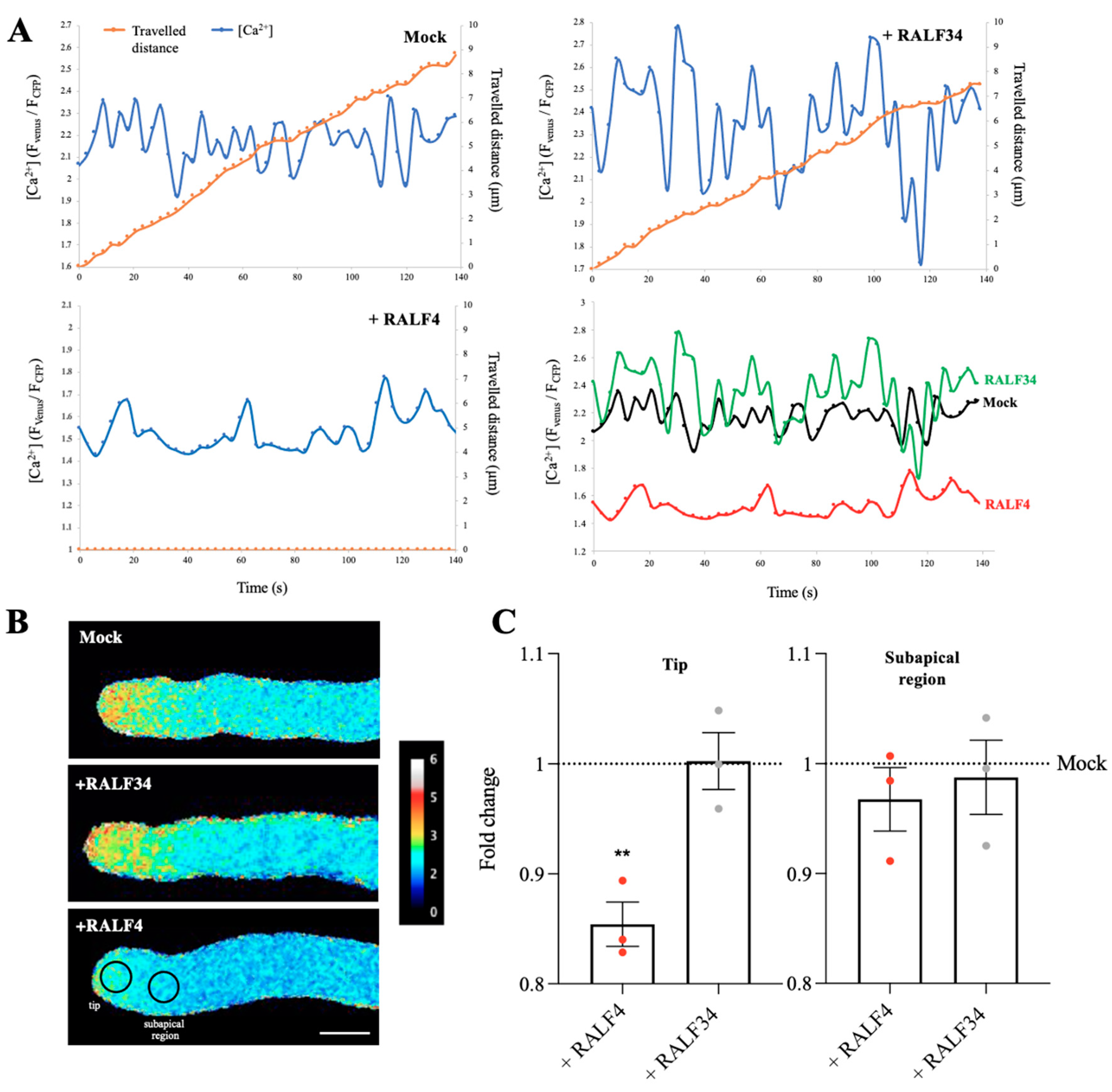 Biomolecules 14 01375 g005
