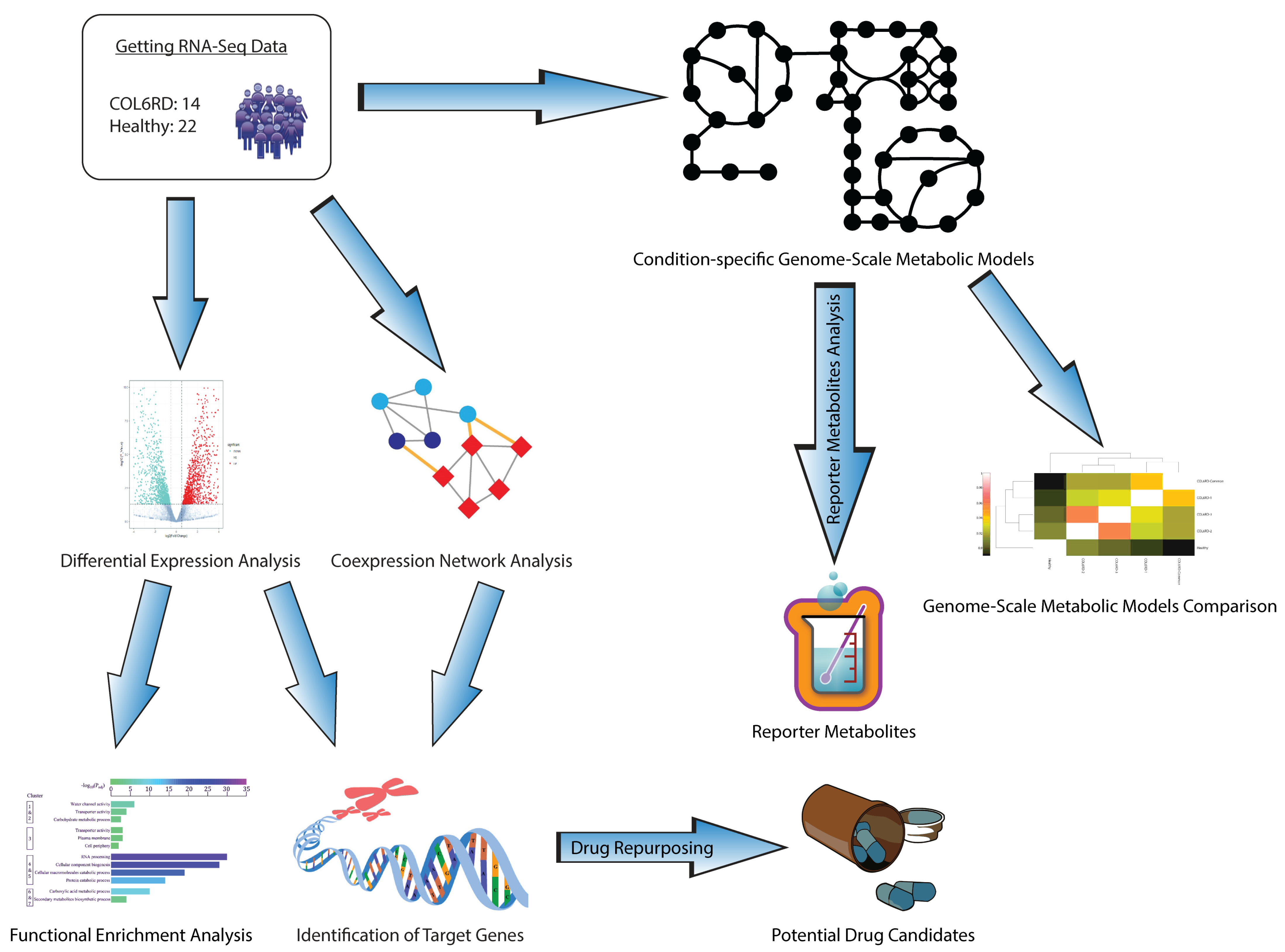 Biomolecules 14 01376 g001 Biomolecules 14 01376 g001