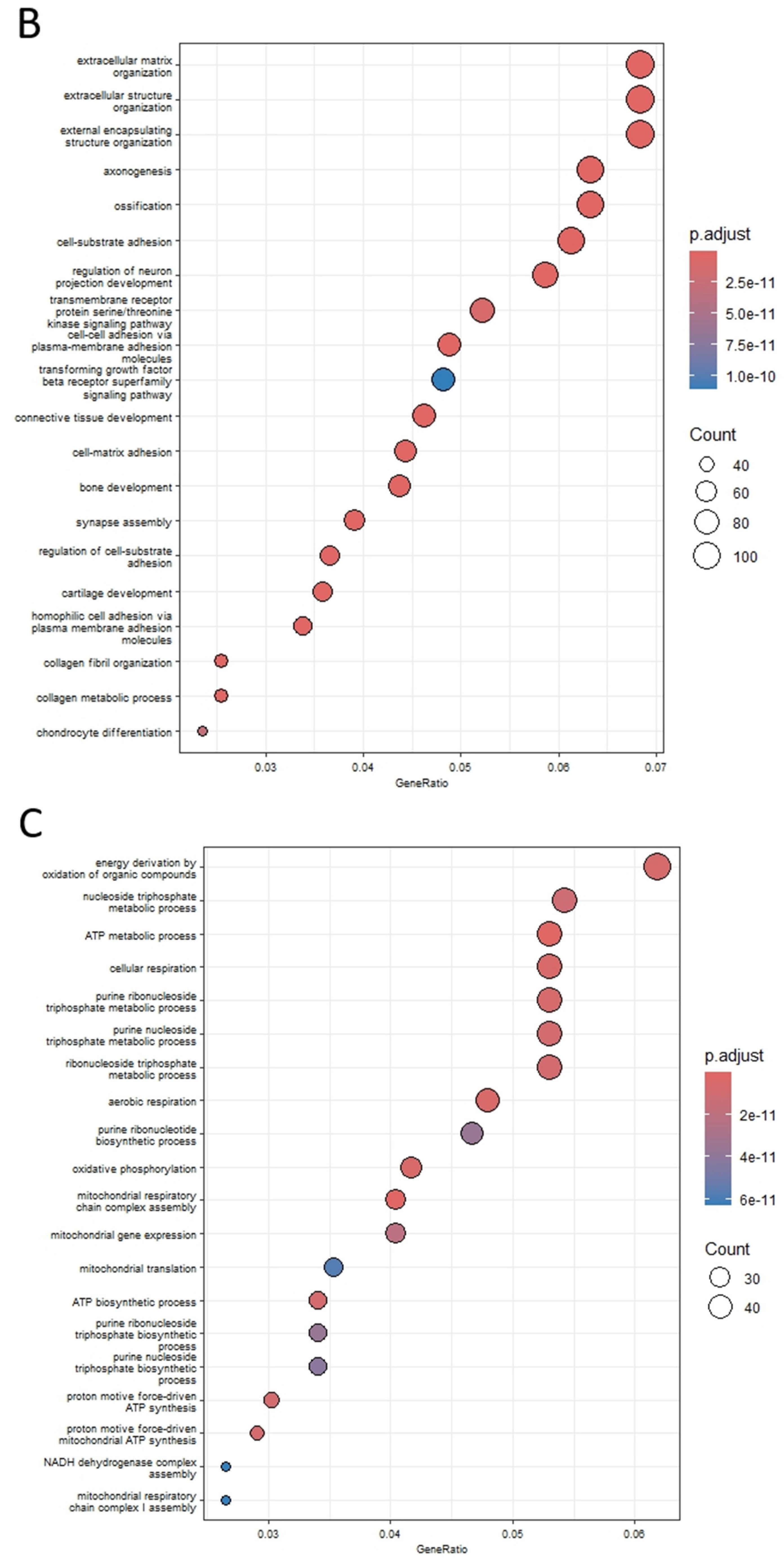 Biomolecules 14 01376 g002b Biomolecules 14 01376 g002b