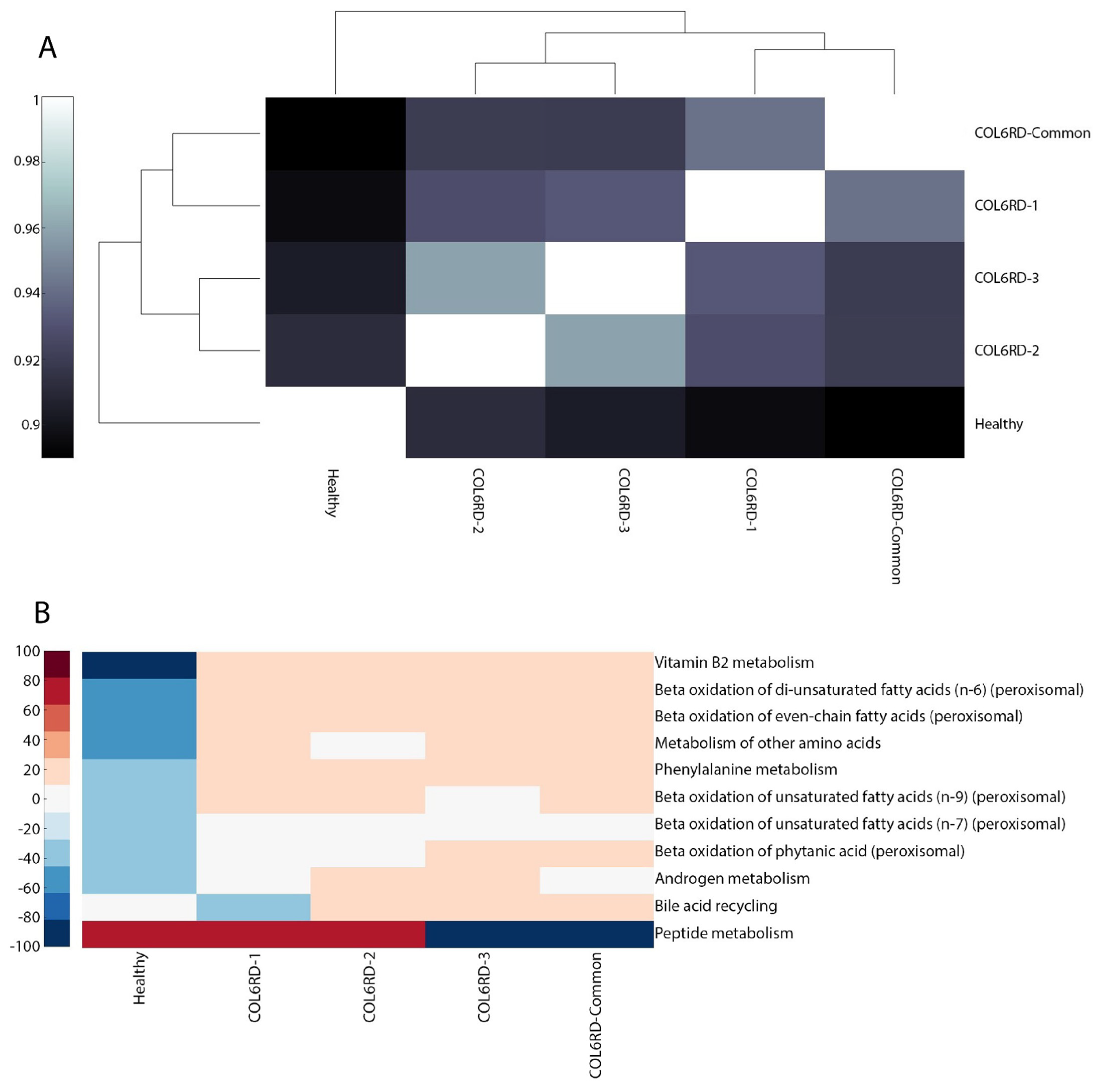 Biomolecules 14 01376 g005a Biomolecules 14 01376 g005a