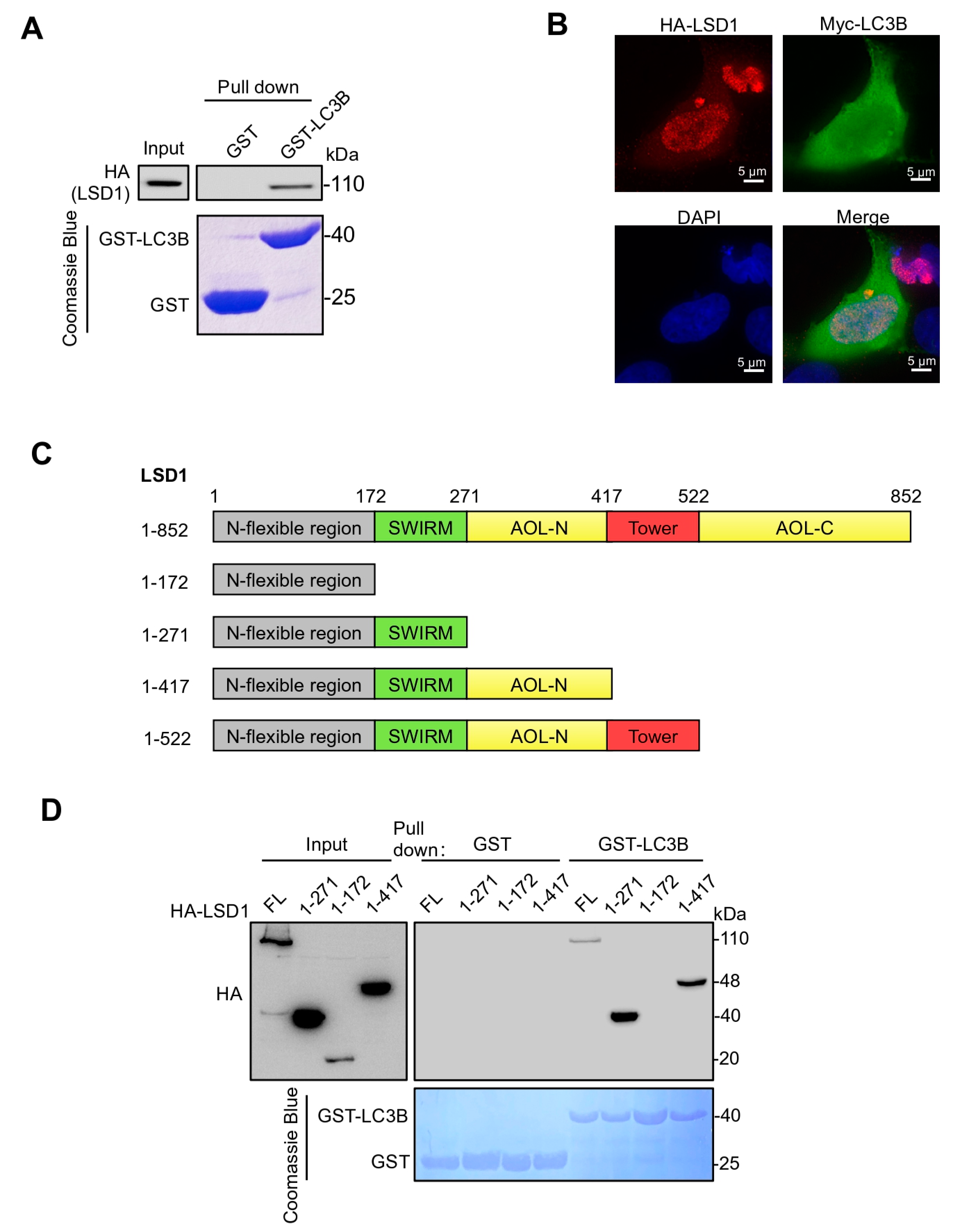Biomolecules 14 01377 g001