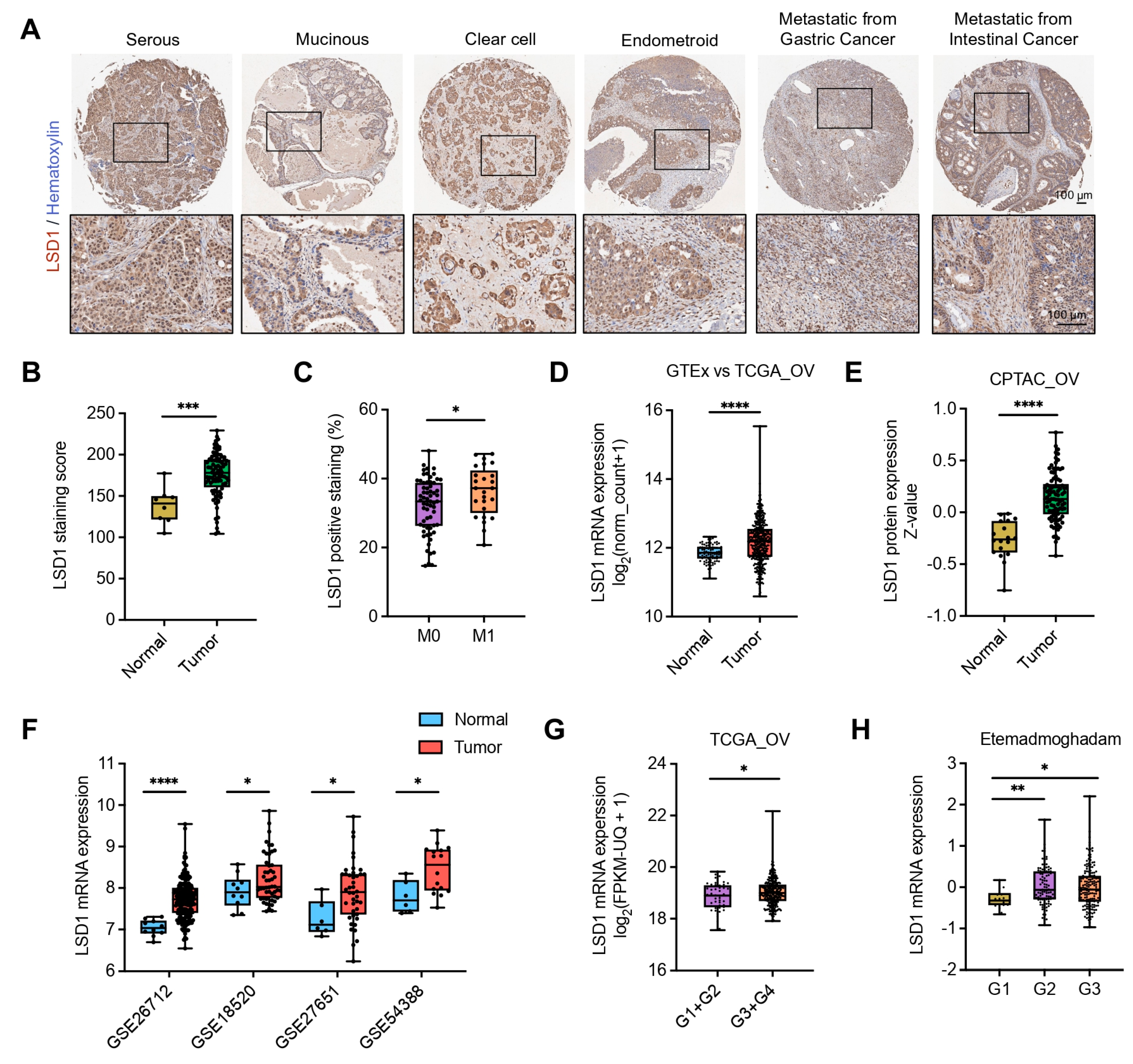Biomolecules 14 01377 g002