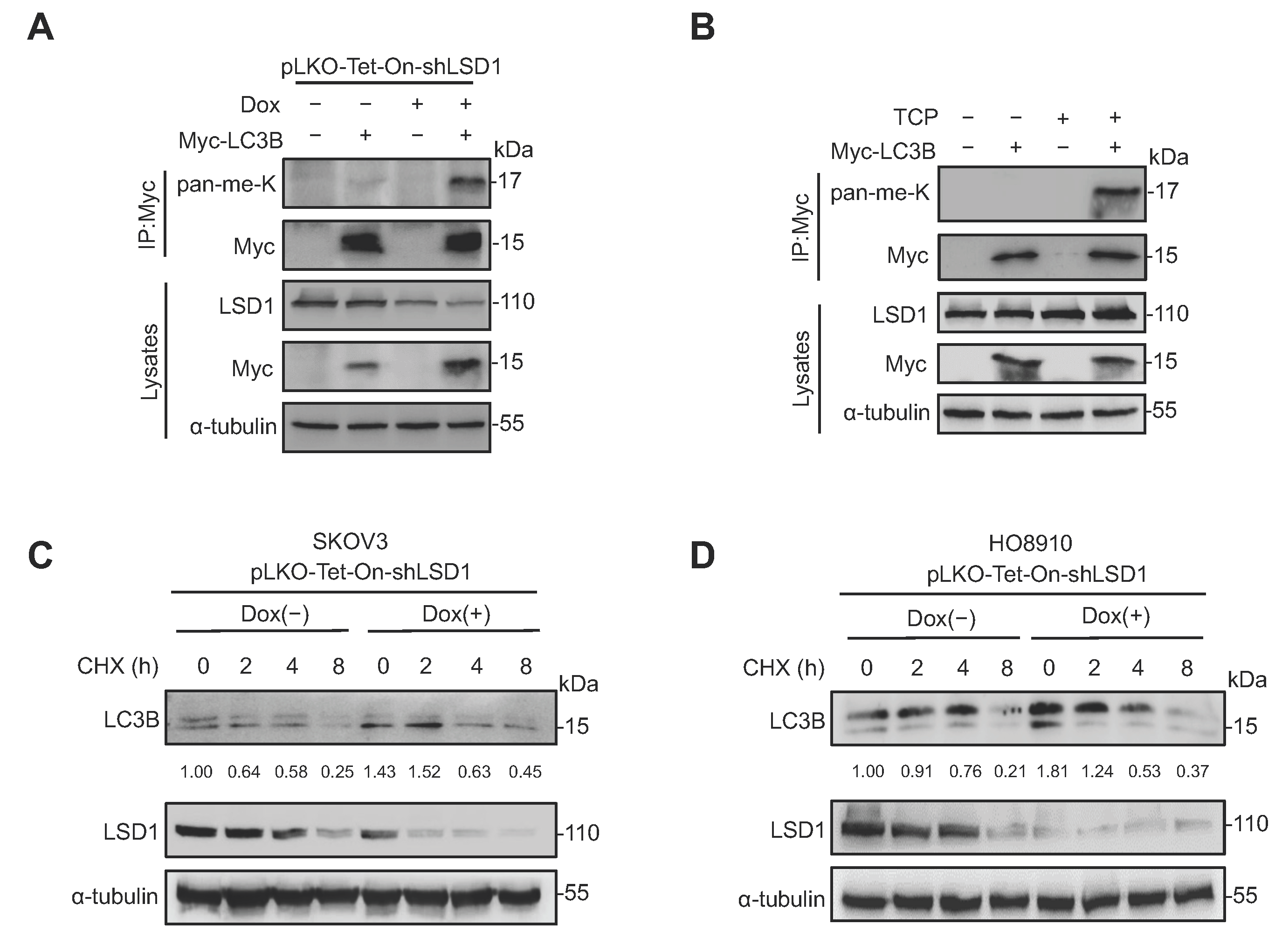 Biomolecules 14 01377 g004