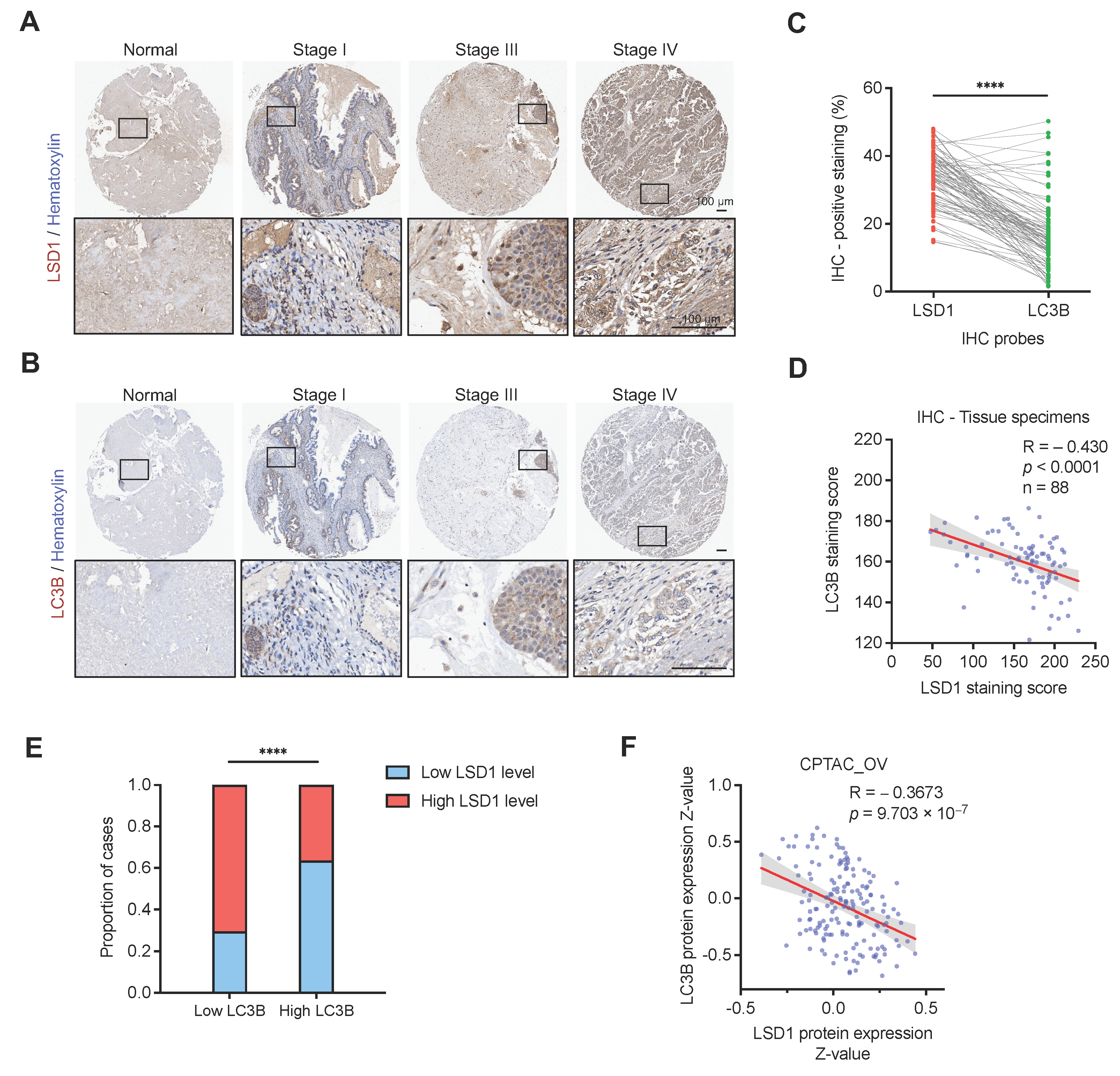 Biomolecules 14 01377 g005