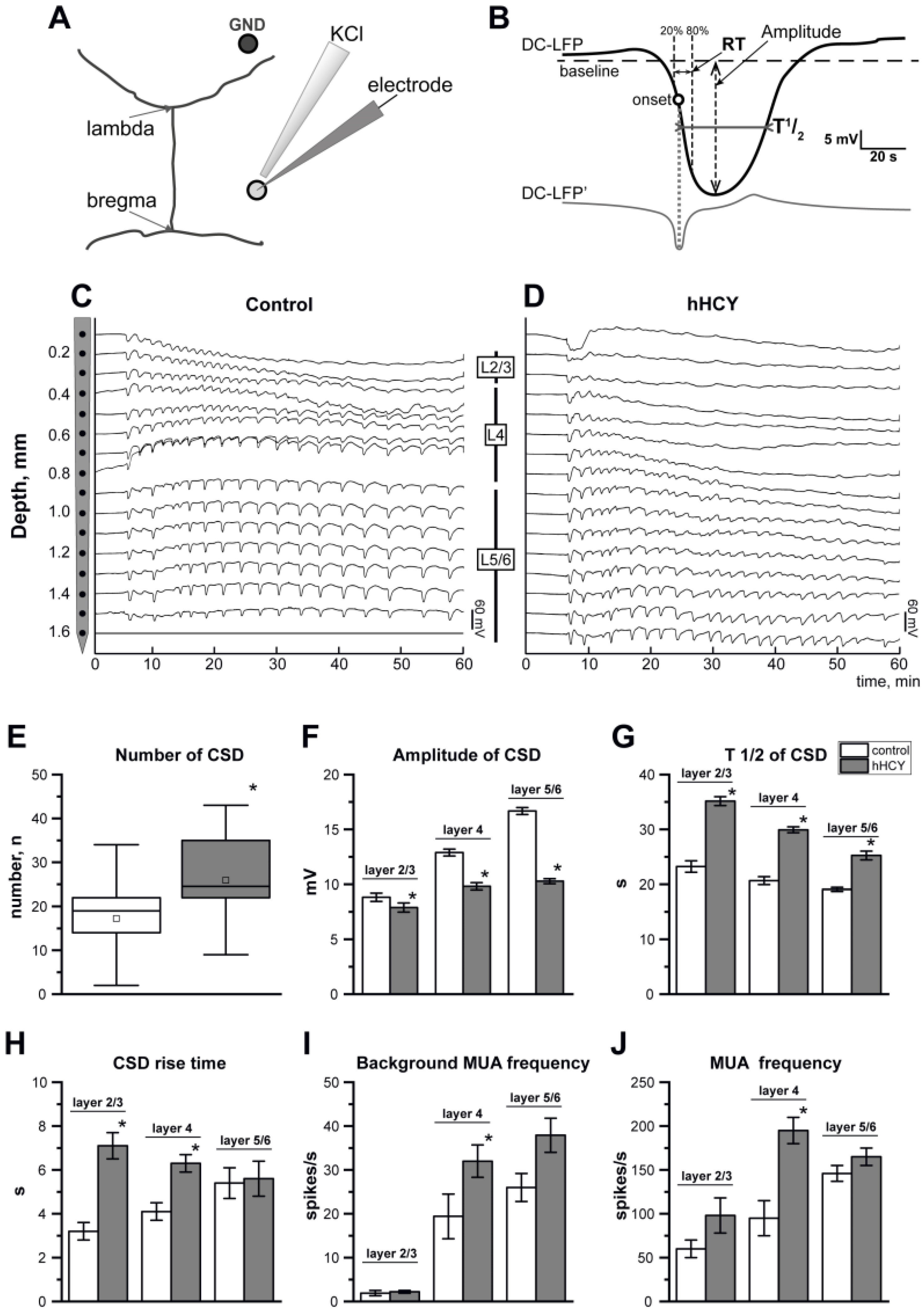 Biomolecules 14 01379 g001