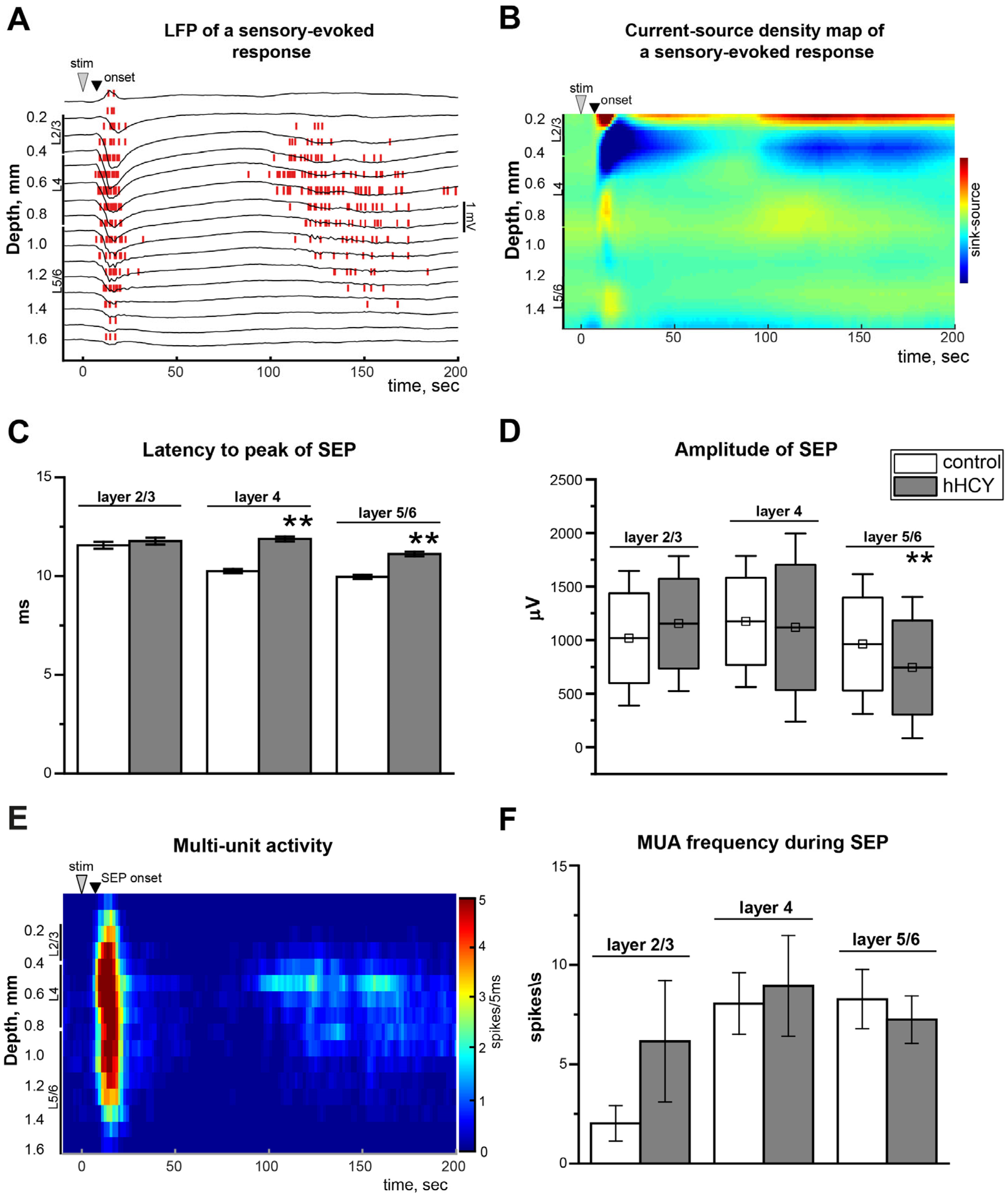 Biomolecules 14 01379 g002