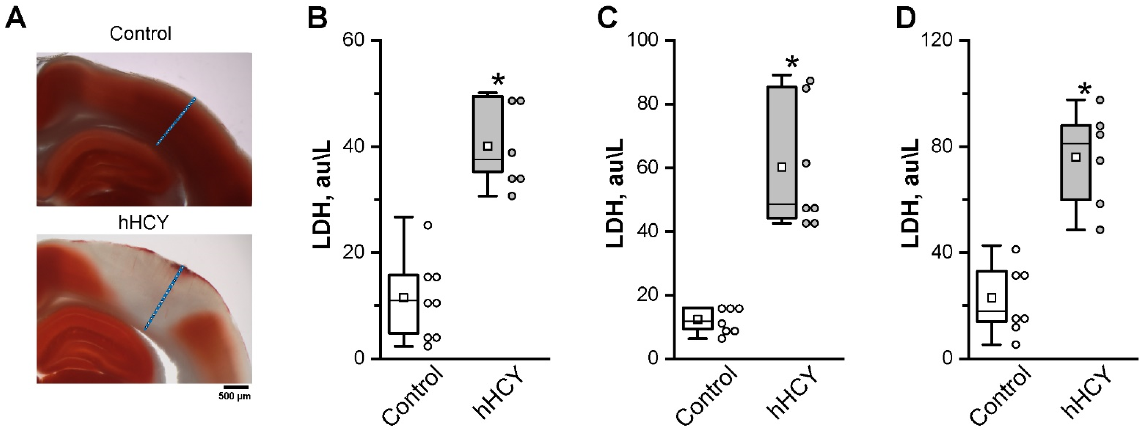 Biomolecules 14 01379 g005