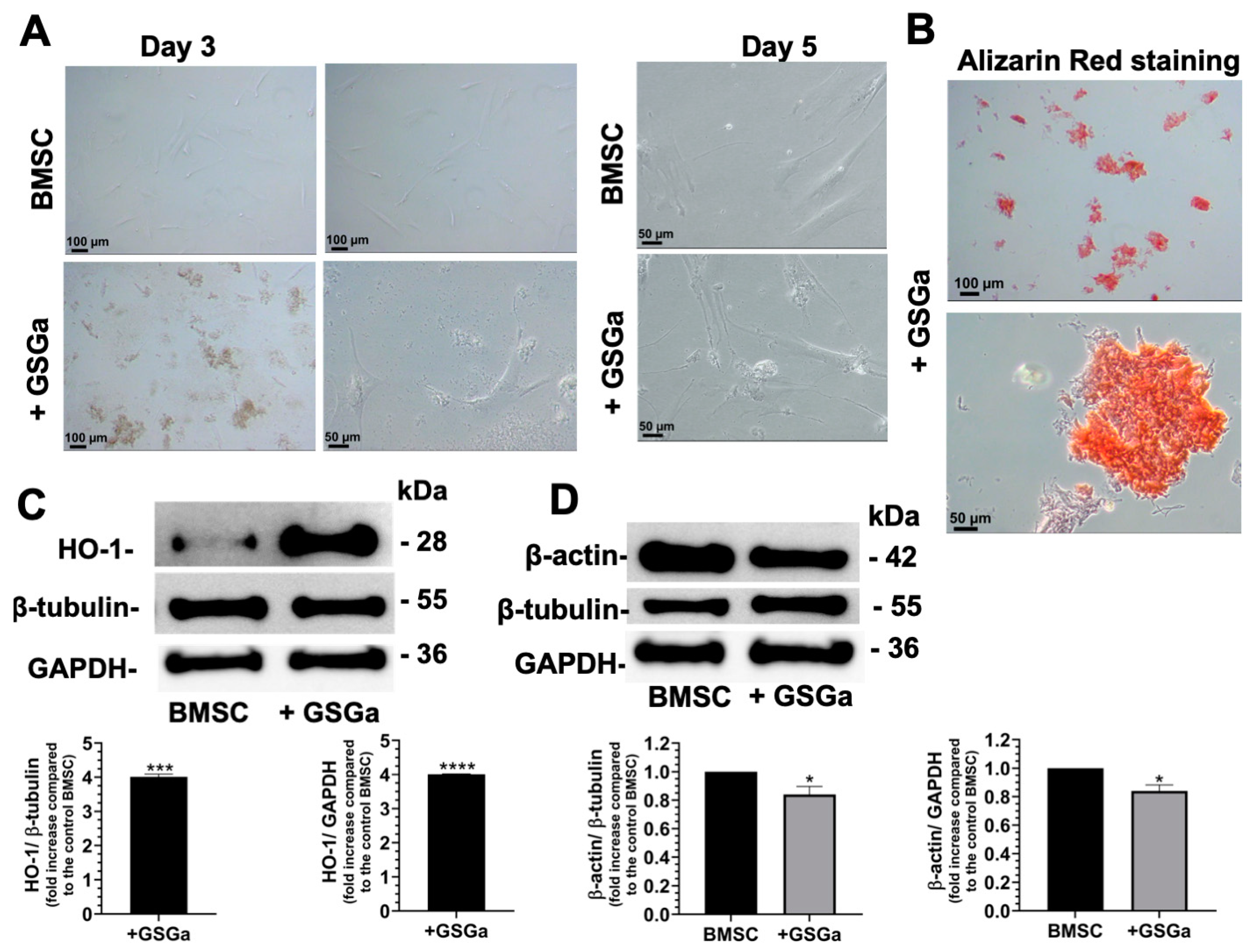 Biomolecules 14 01380 g001