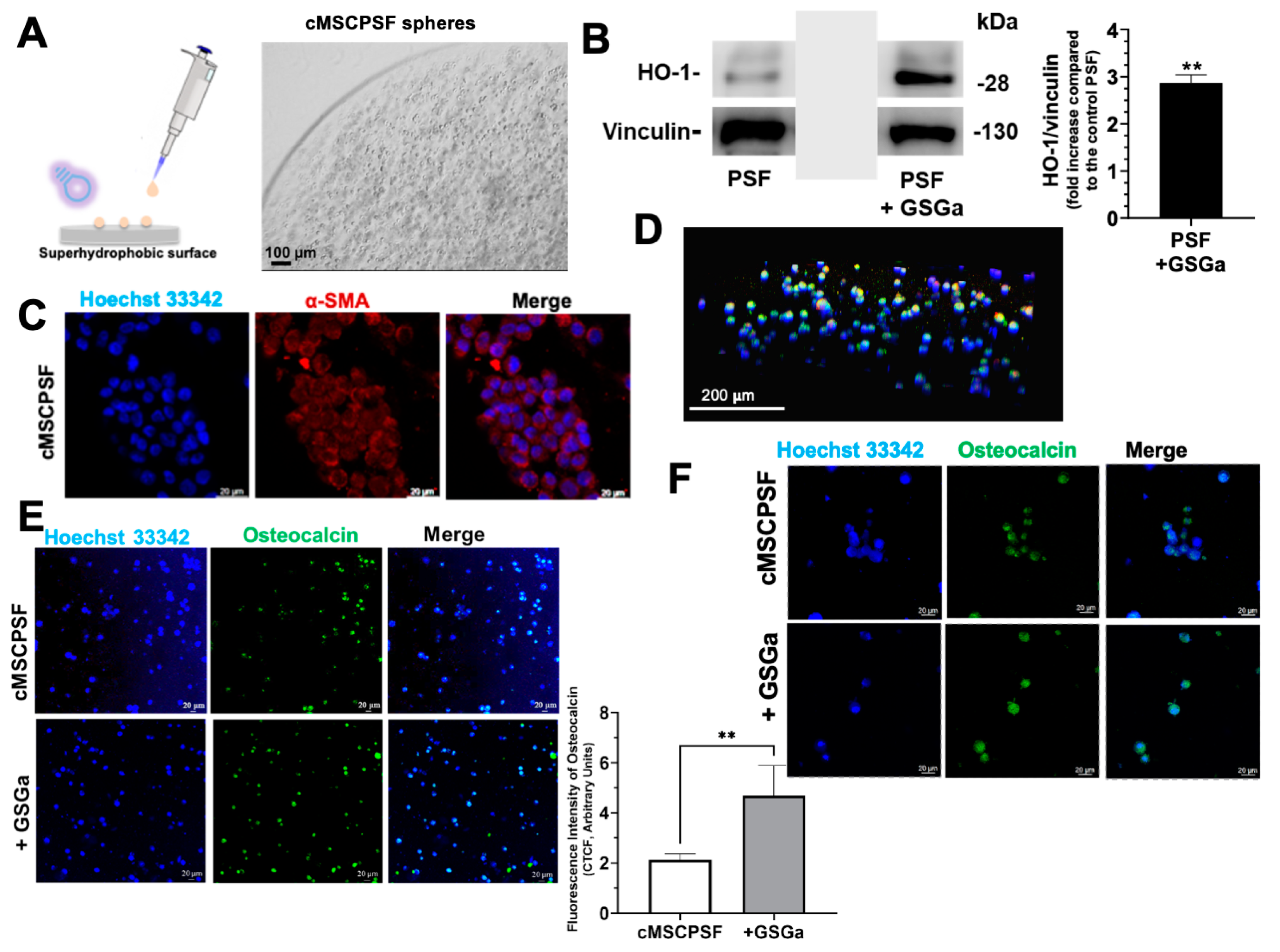 Biomolecules 14 01380 g003