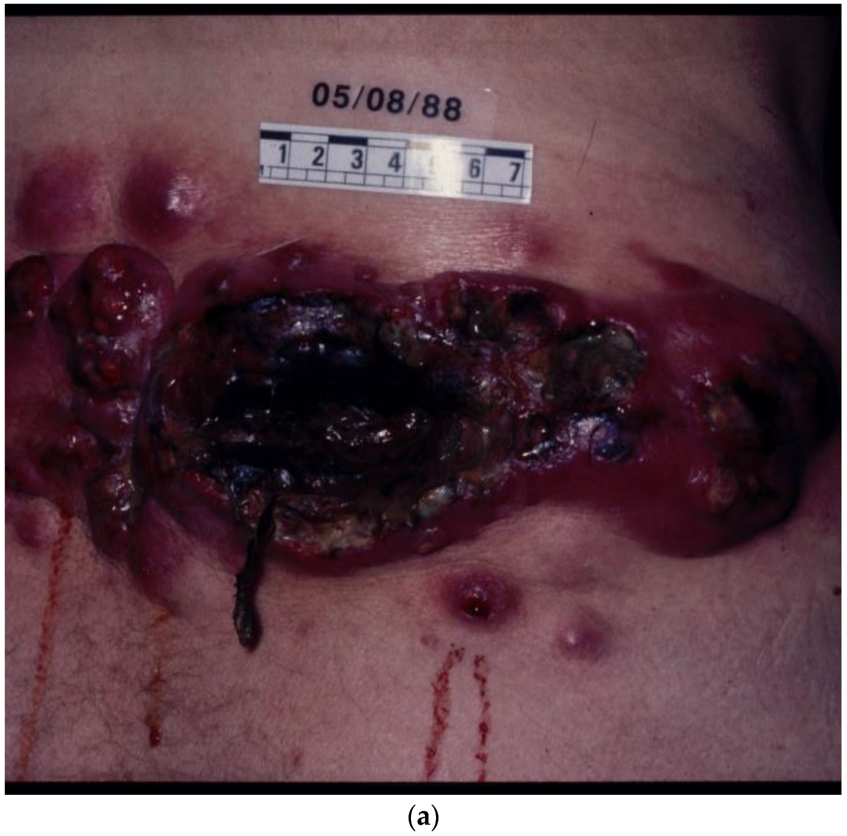 Biomolecules 14 01383 g003a