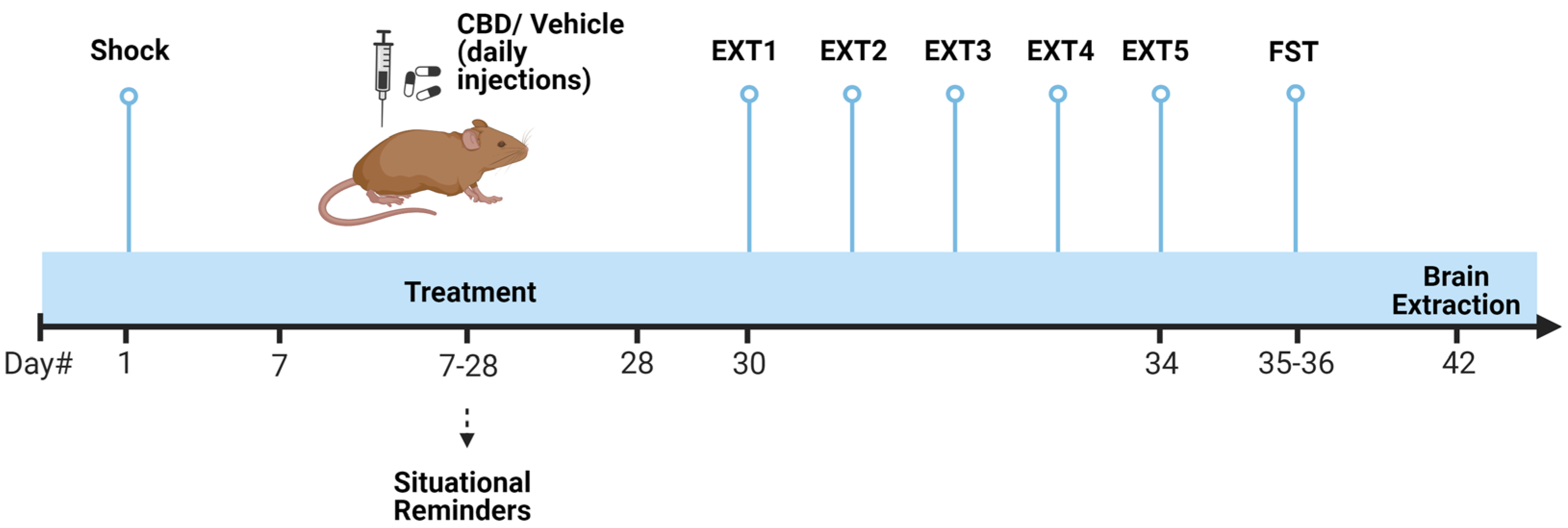 Biomolecules 14 01384 sch001
