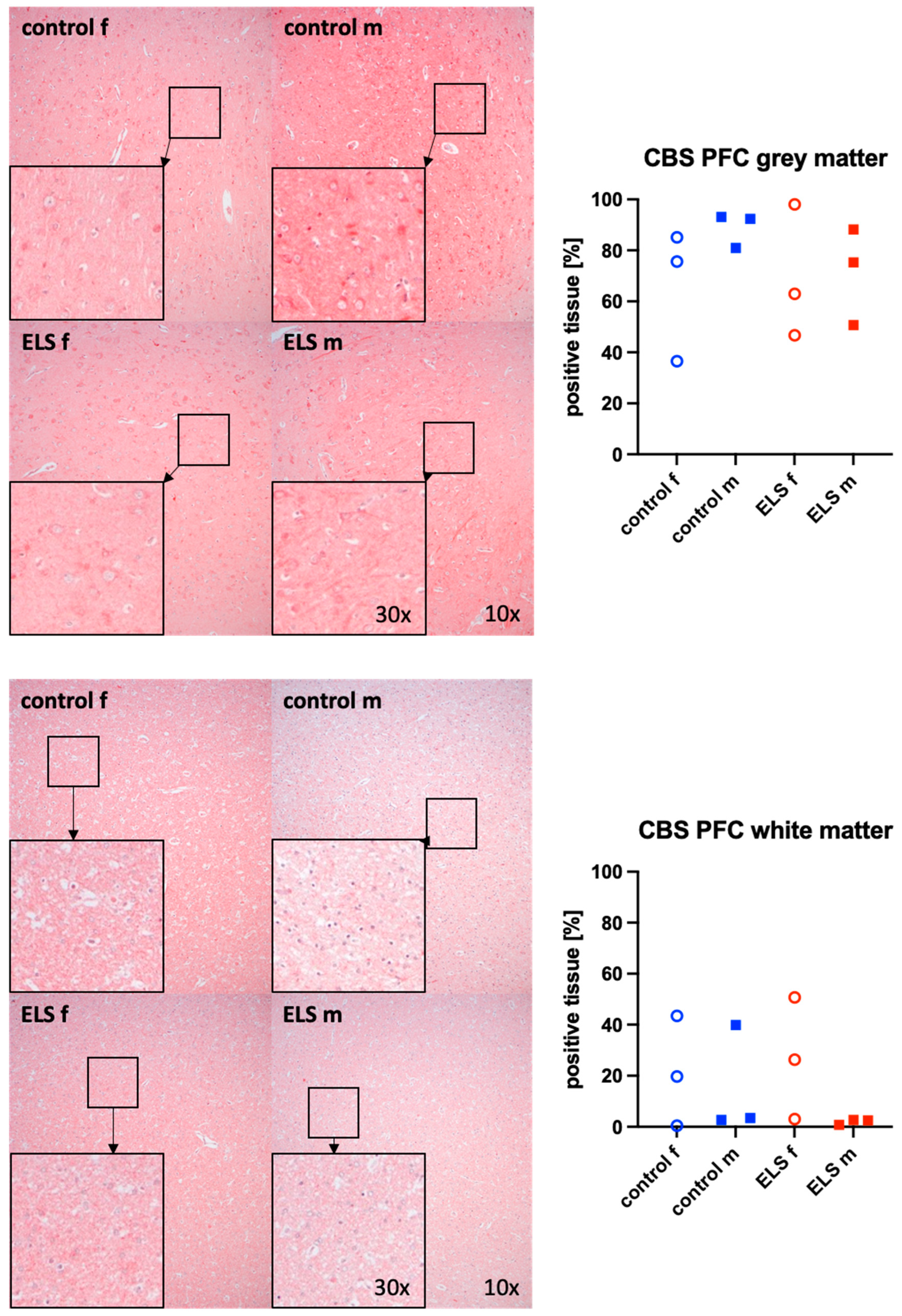 Biomolecules 14 01385 g003