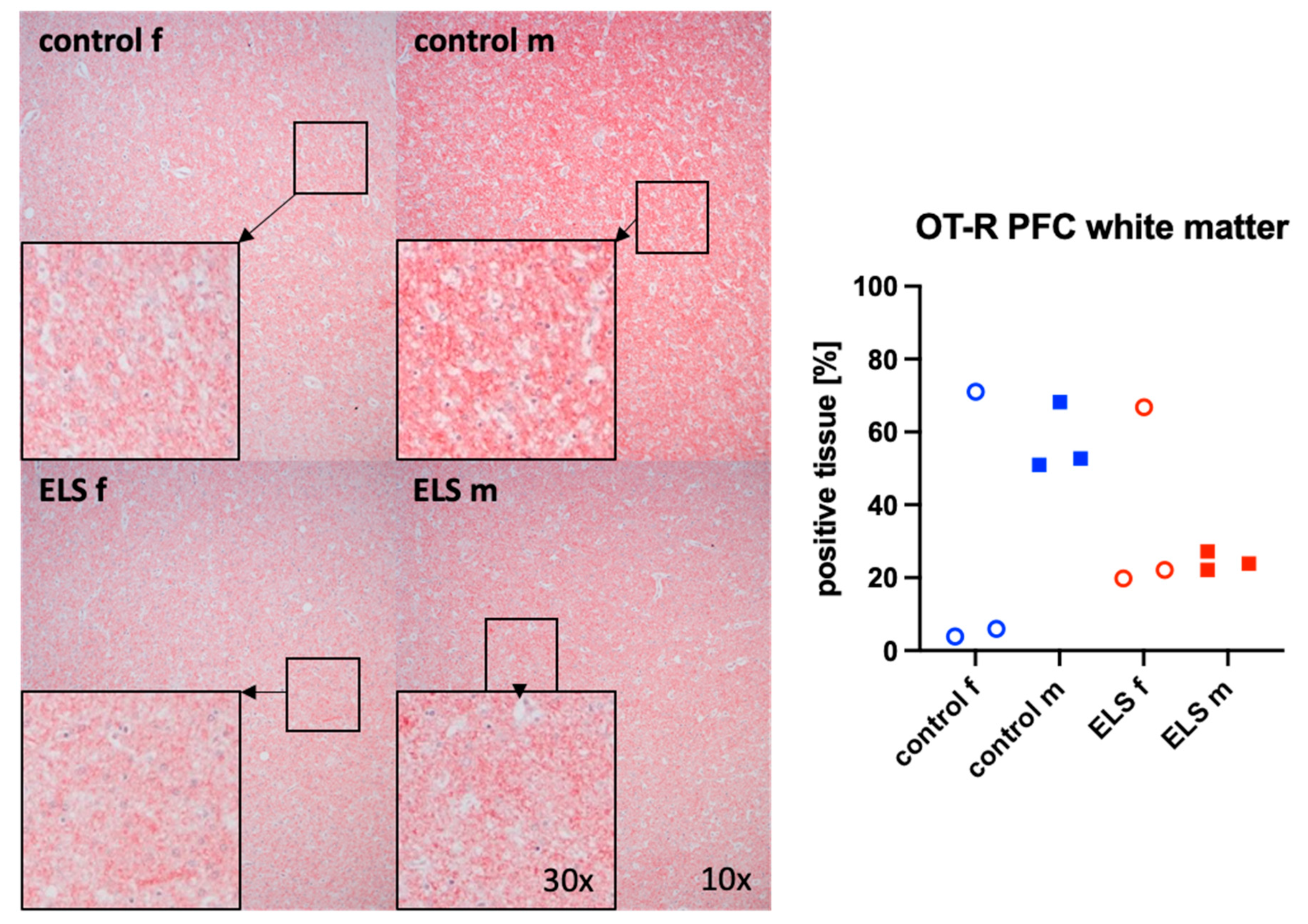 Biomolecules 14 01385 g004