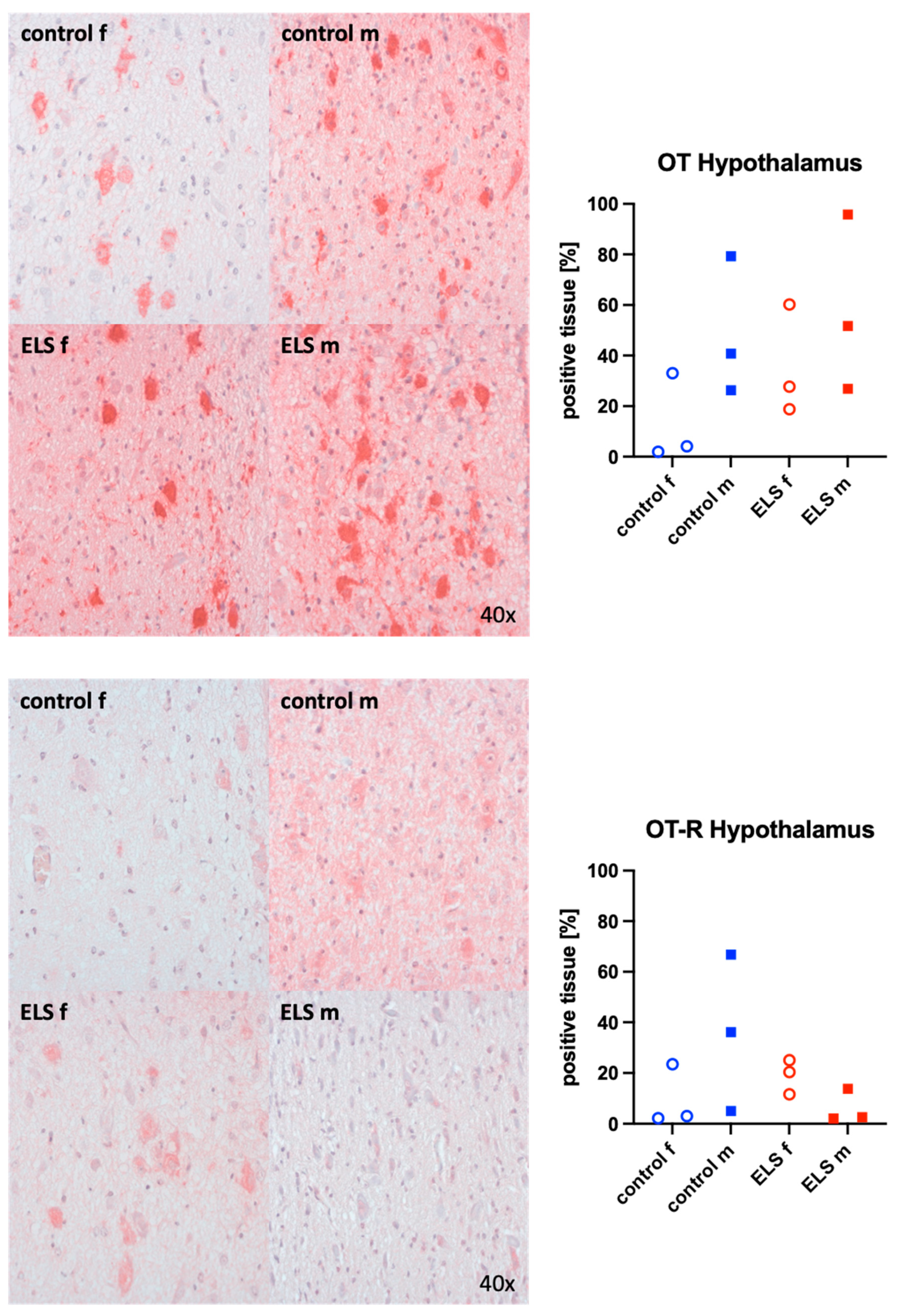 Biomolecules 14 01385 g005
