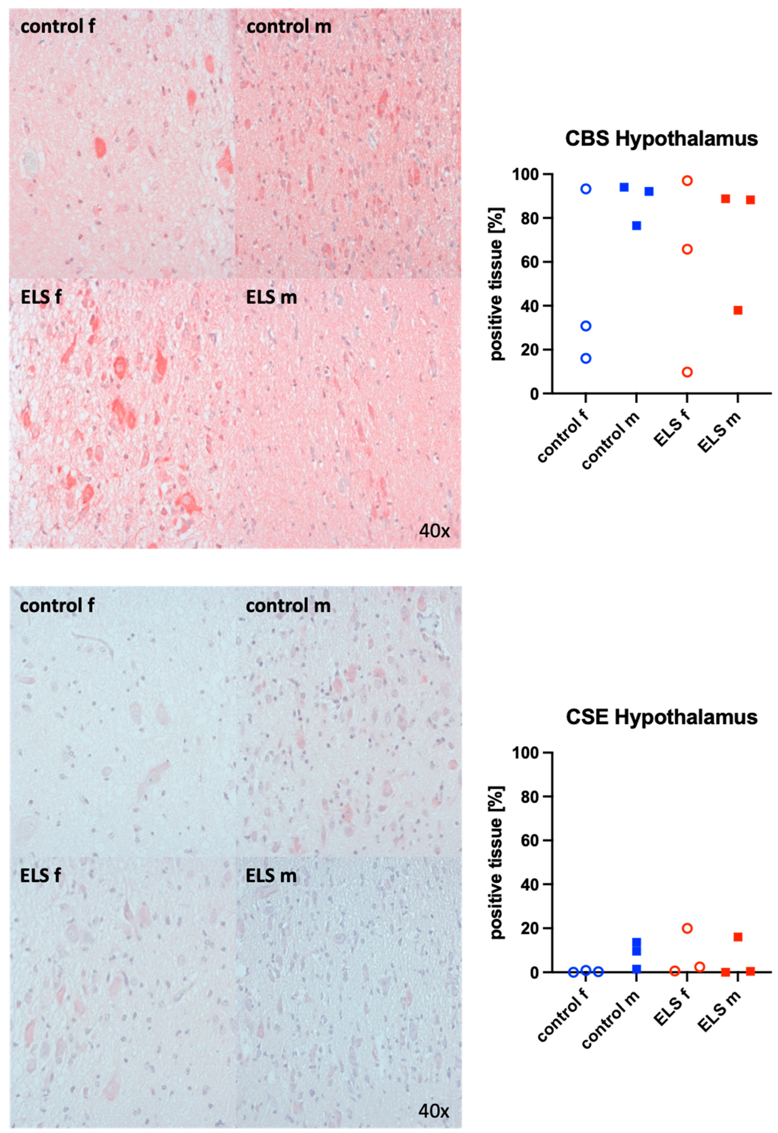 Biomolecules 14 01385 g006